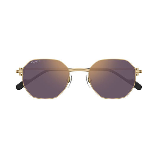 CT0500S-004 004 gold gold violet