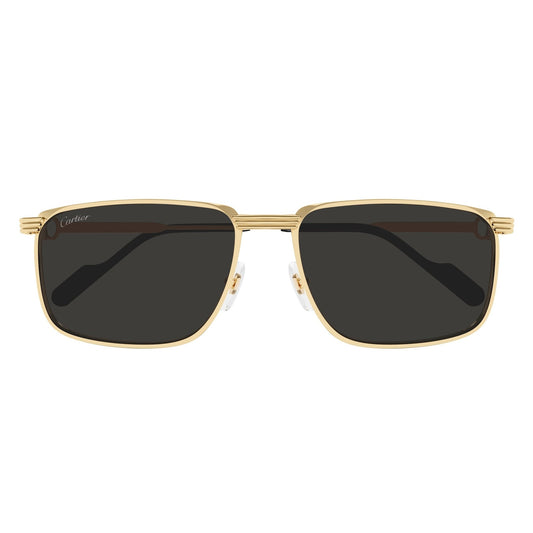 CT0534S-001 59 Sunglass MAN METAL