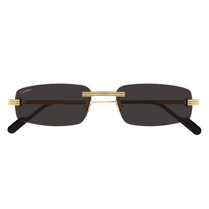 CT0535S-001 57 Sunglass MAN METAL