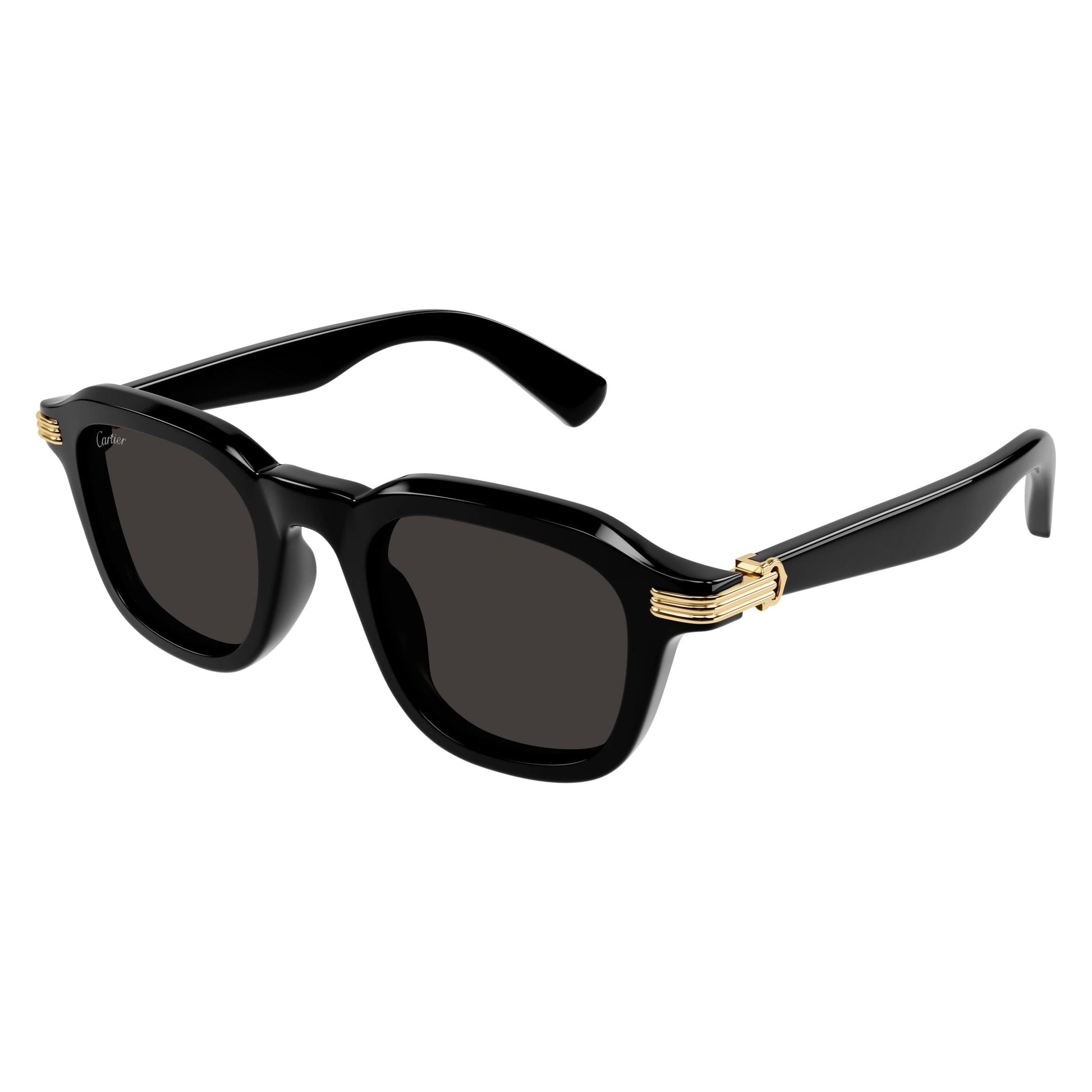 CT0536S-001 49 Sunglass MAN RECYCLED ACE