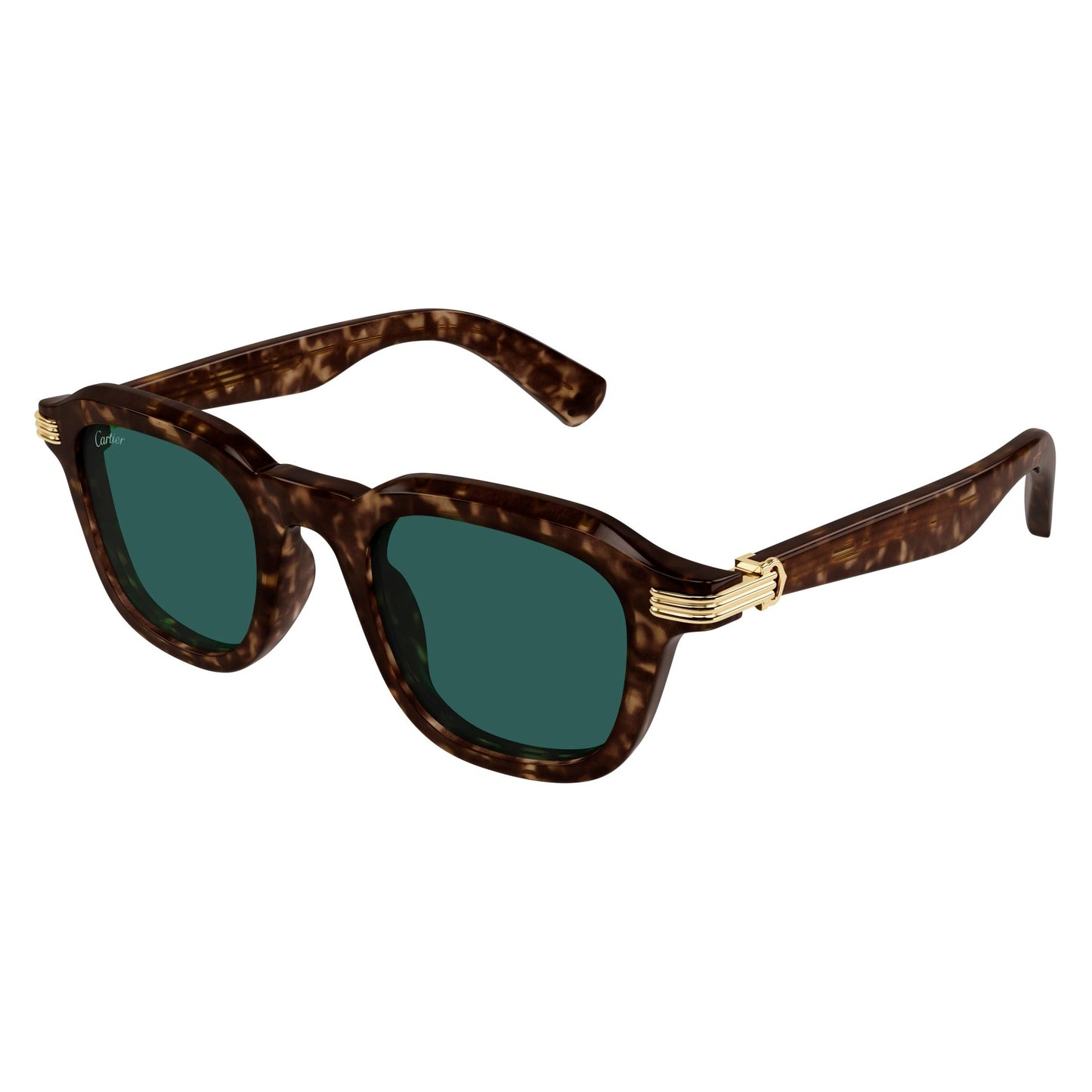 CT0536S-002 49 Sunglass MAN RECYCLED ACE