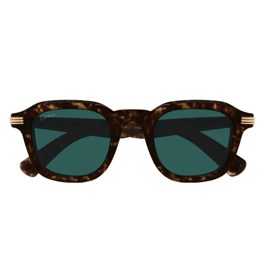CT0536S-002 49 Sunglass MAN RECYCLED ACE