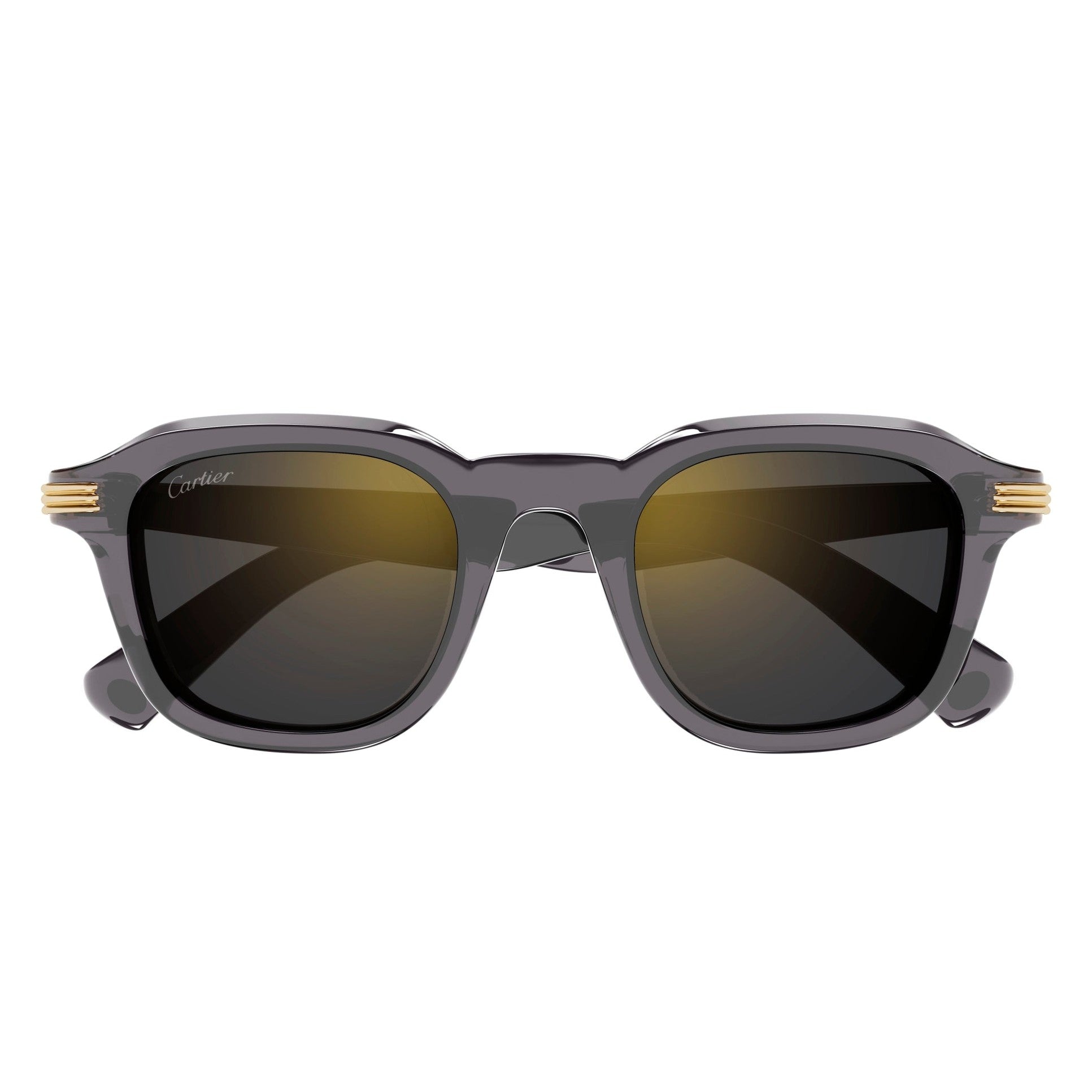 CT0536S-003 49 Sunglass MAN RECYCLED ACE