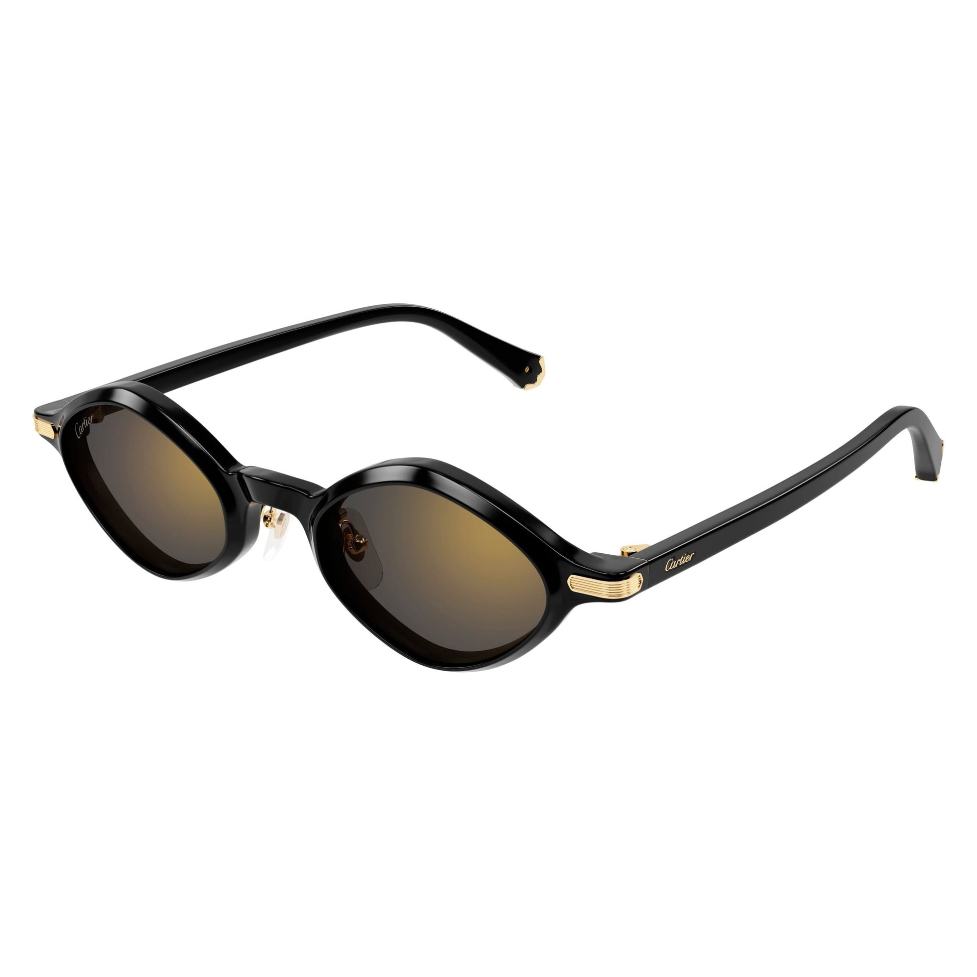 CT0540S-001 48 Sunglass UNISEX RECYCLED