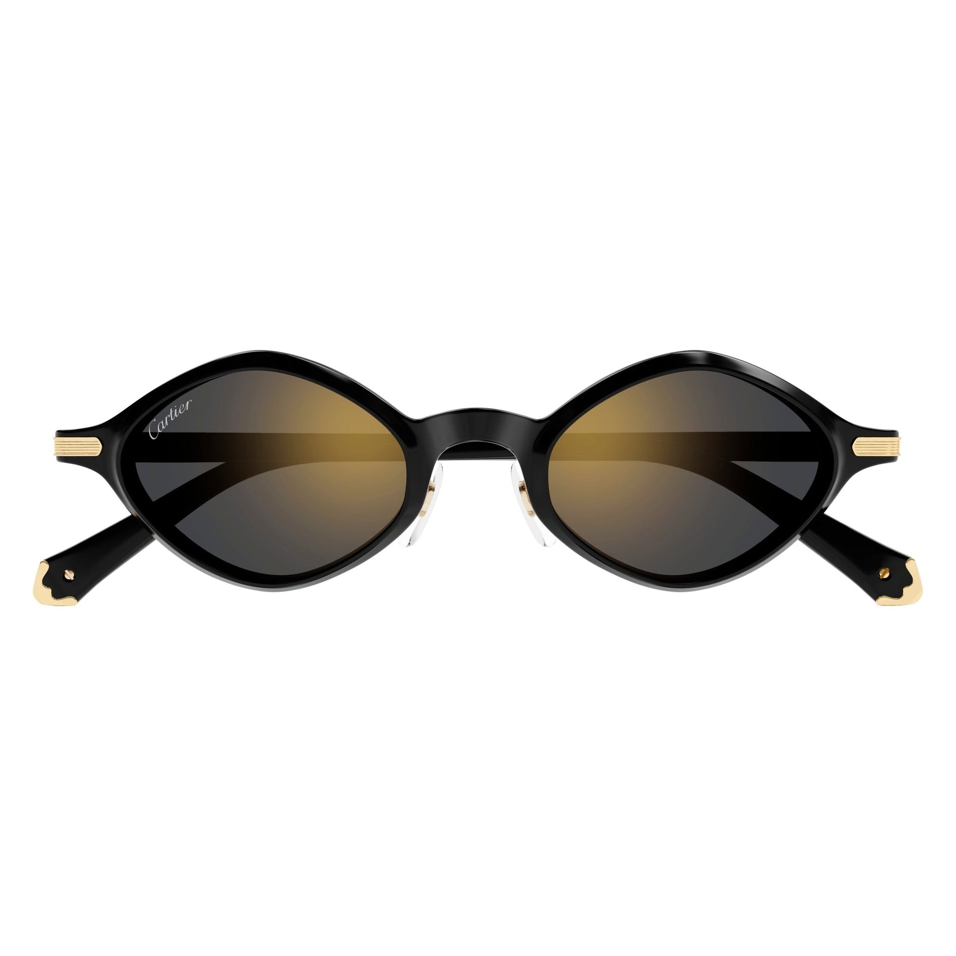 CT0540S-001 48 Sunglass UNISEX RECYCLED