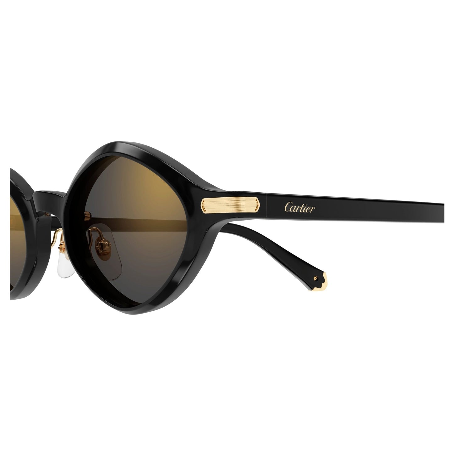 CT0540S-001 48 Sunglass UNISEX RECYCLED