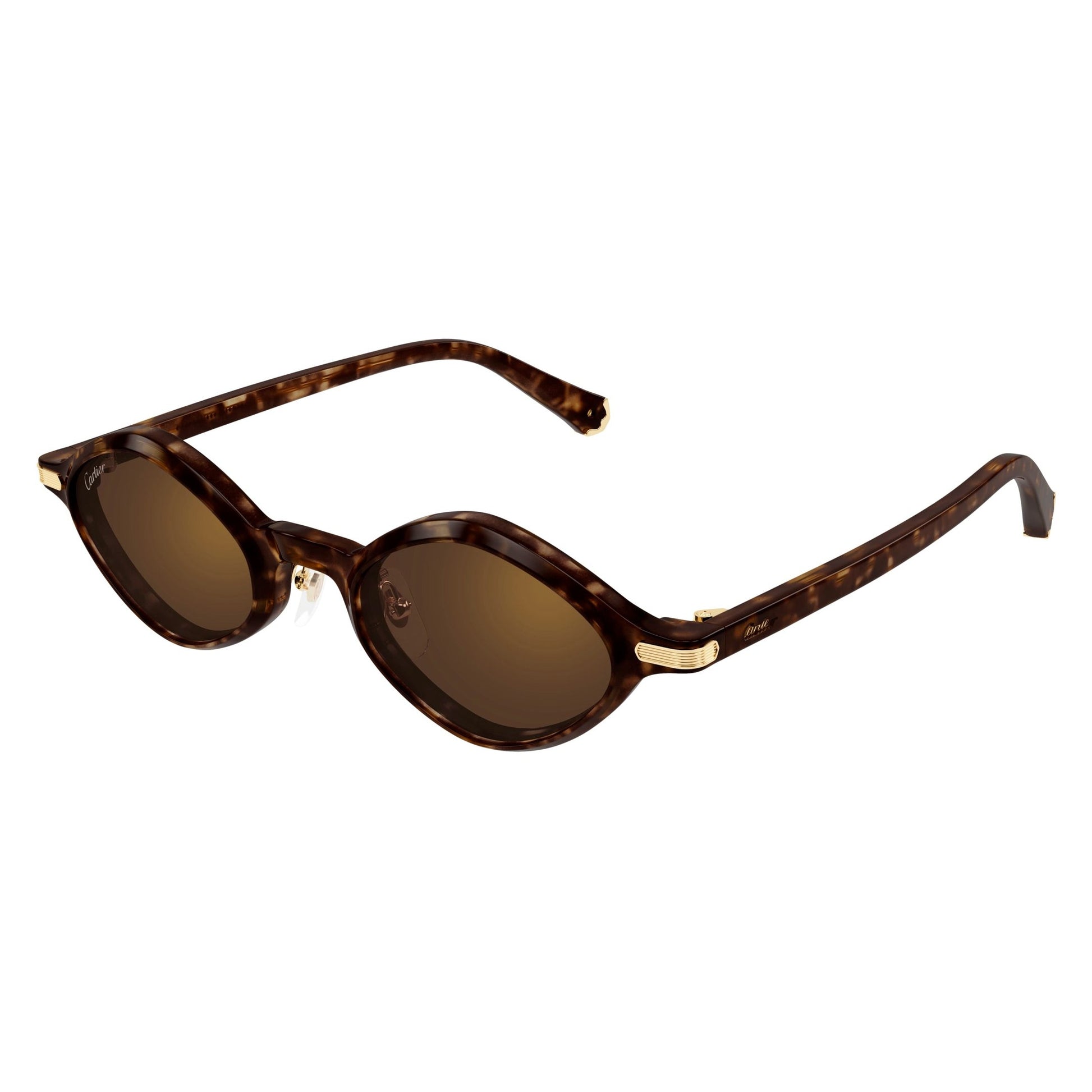 CT0540S-002 48 Sunglass UNISEX RECYCLED