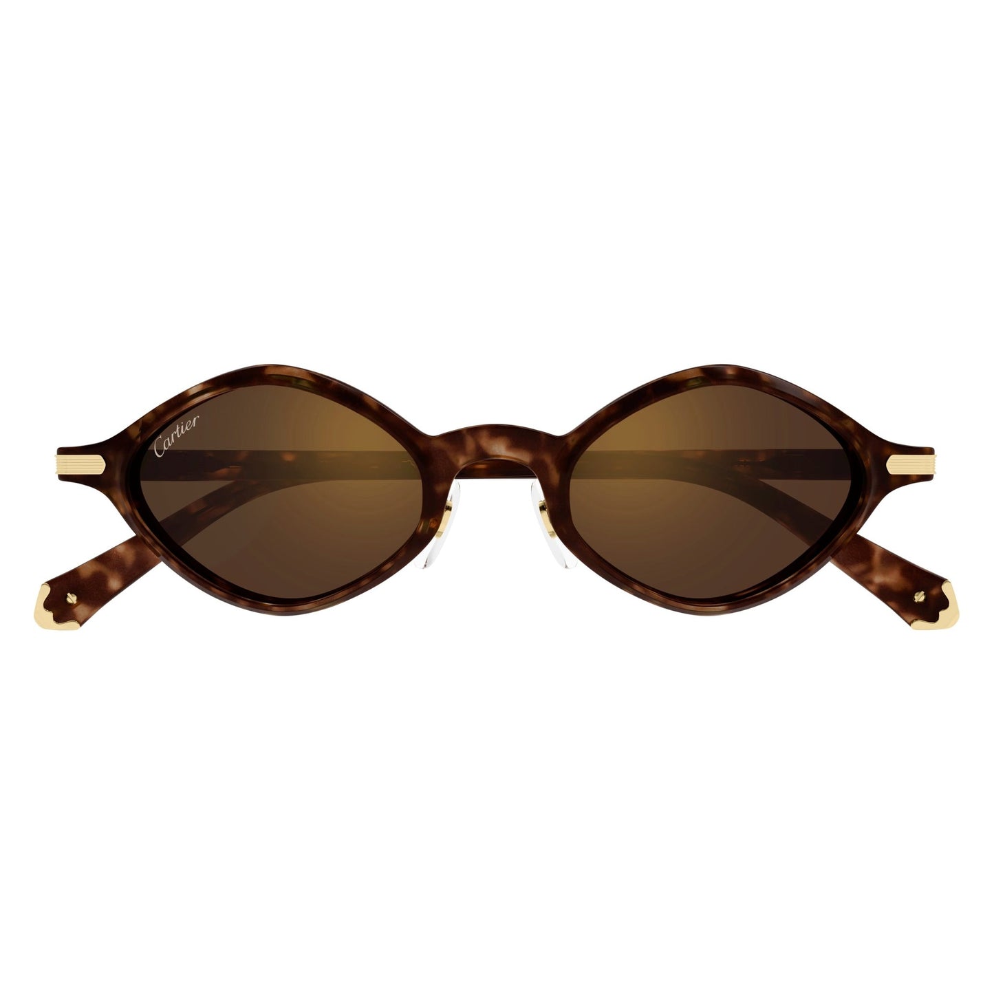 CT0540S-002 48 Sunglass UNISEX RECYCLED