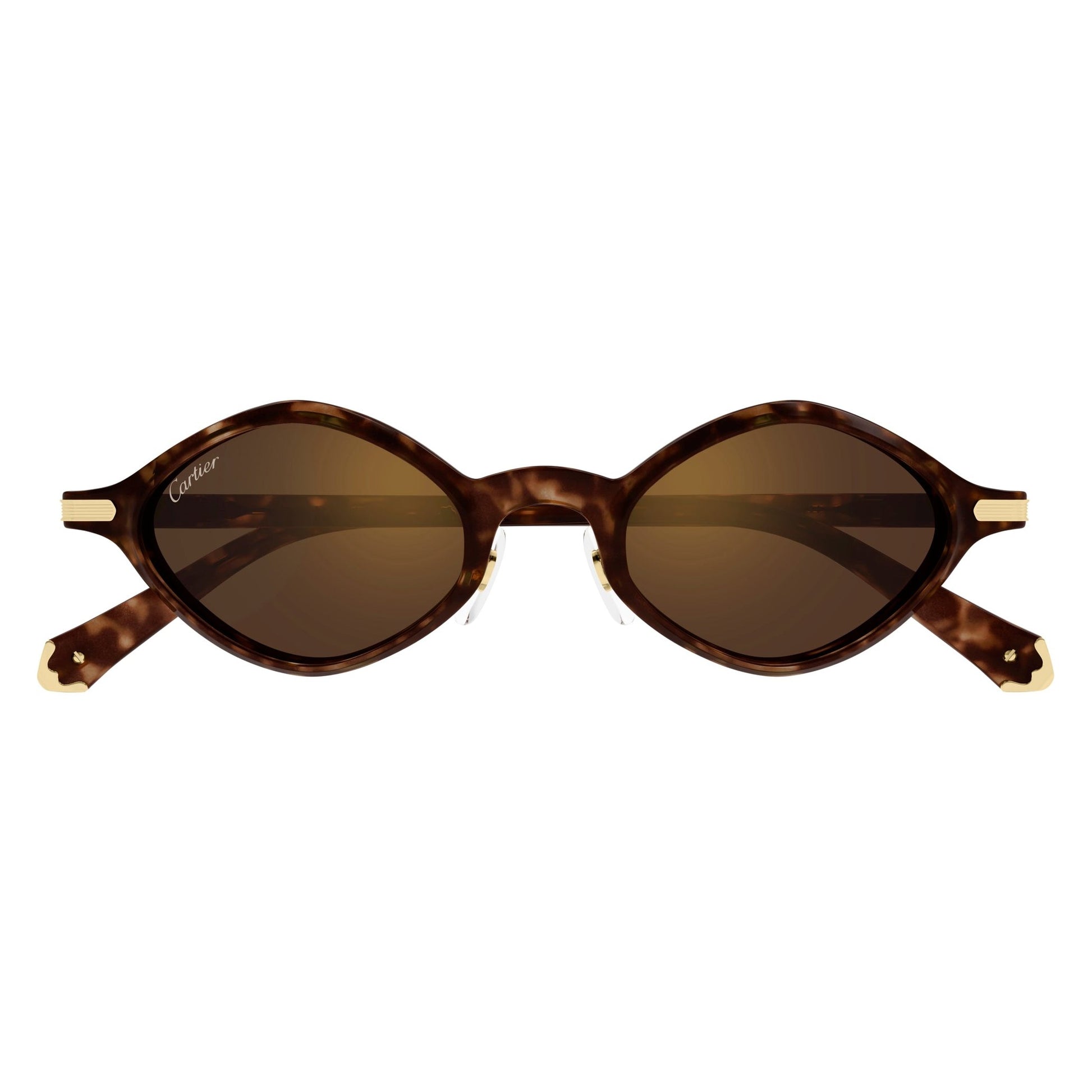 CT0540S-002 48 Sunglass UNISEX RECYCLED