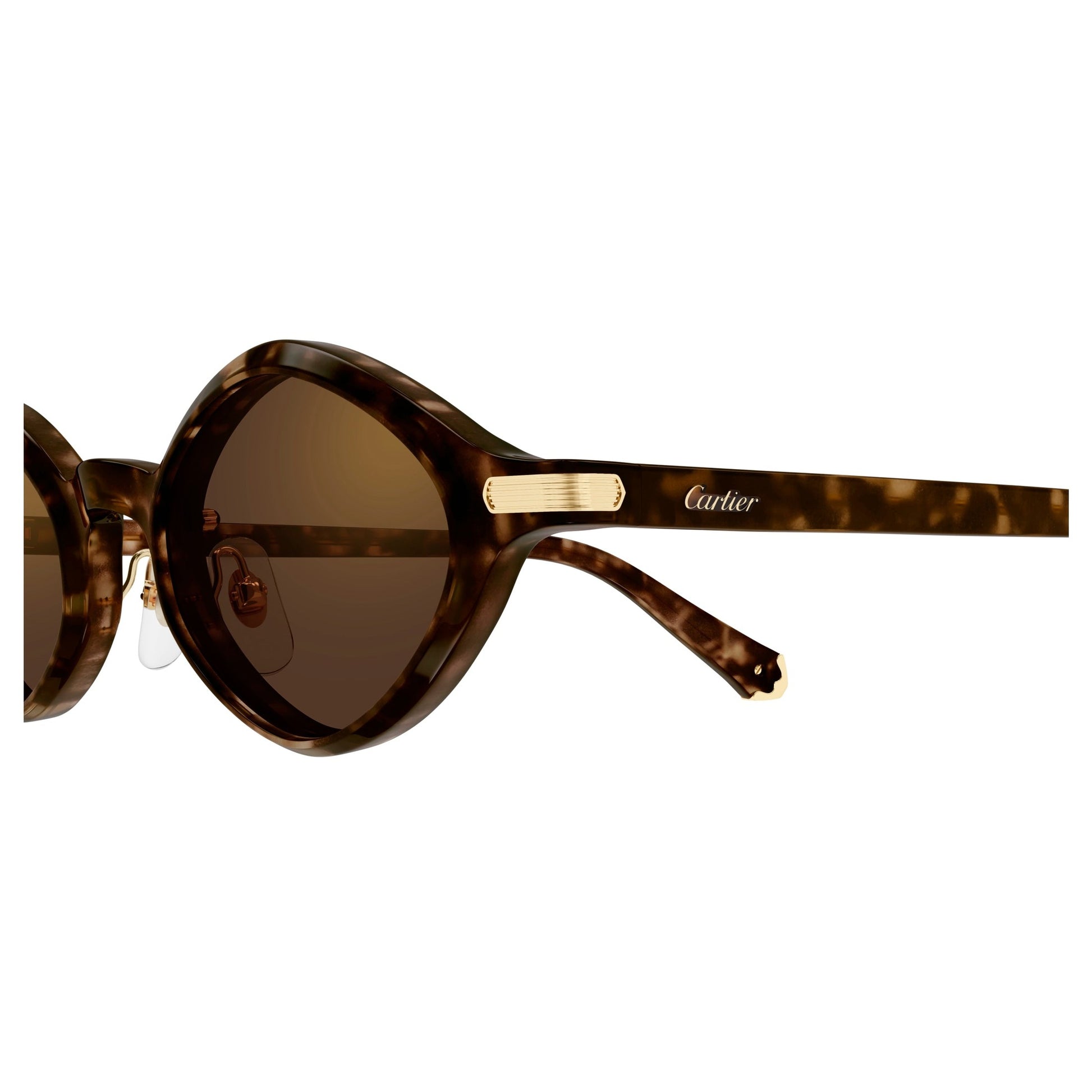 CT0540S-002 48 Sunglass UNISEX RECYCLED