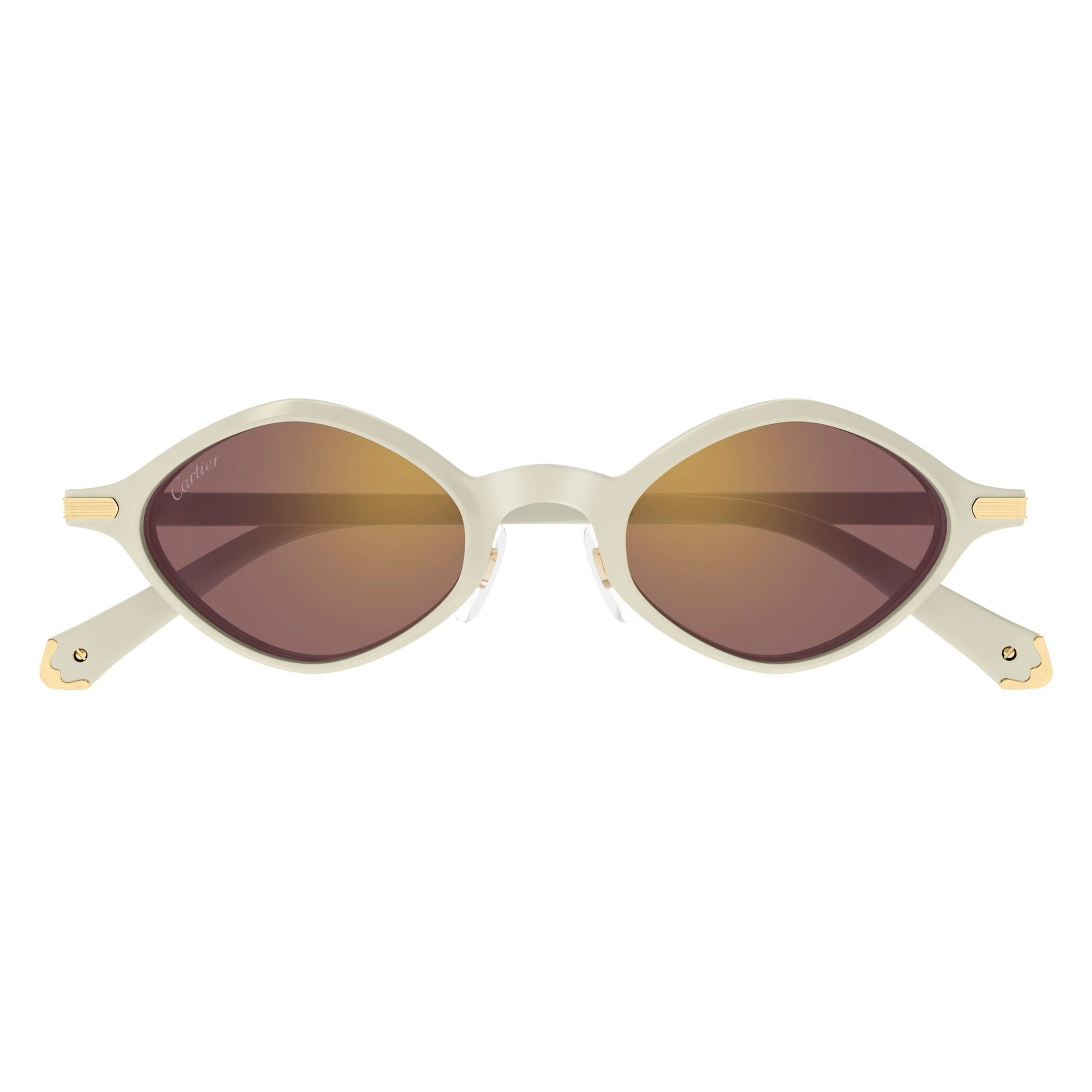 CT0540S-005 48 Sunglass UNISEX RECYCLED