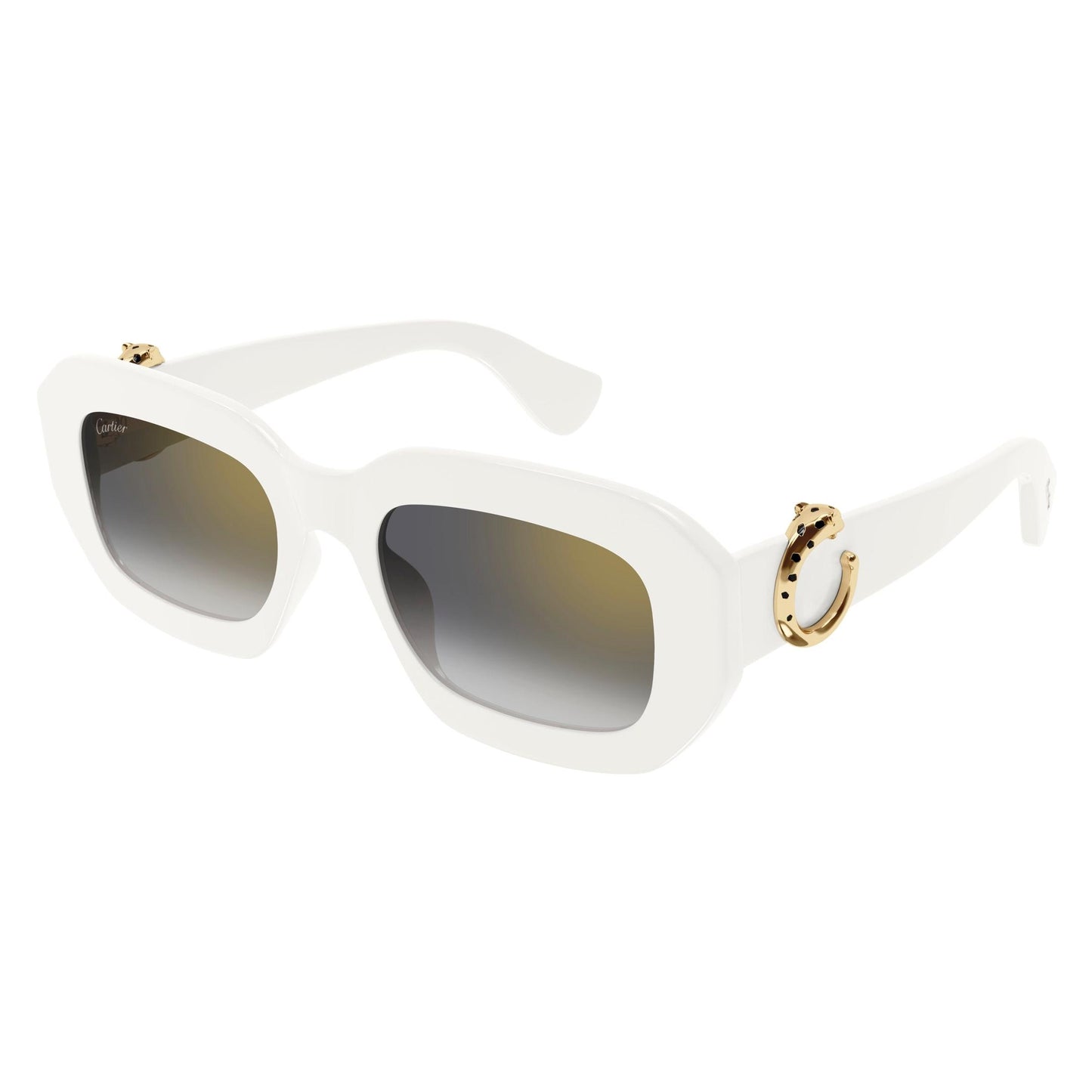 CT0546S-003 52 Sunglass WOMAN RECYCLED A