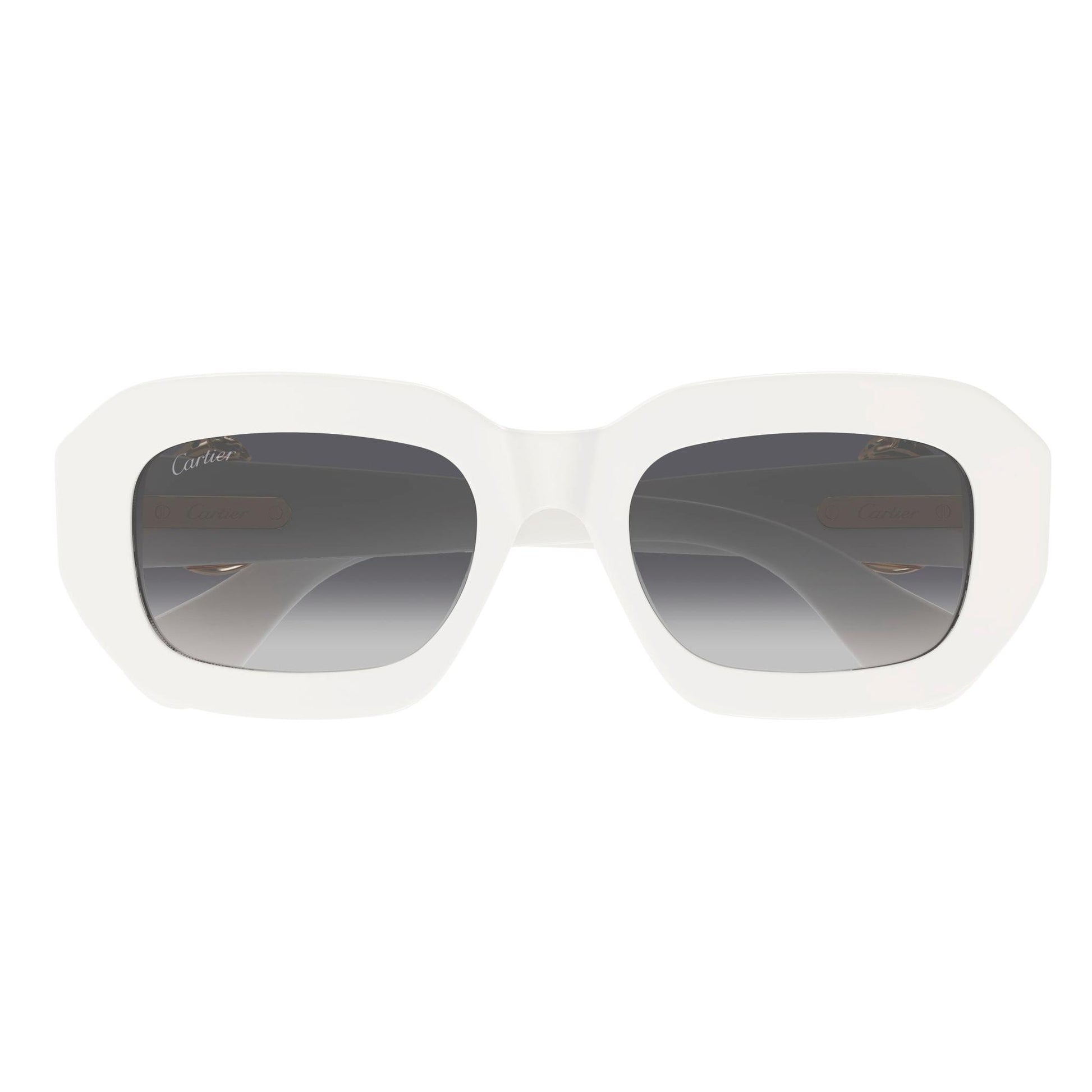 CT0546S-003 52 Sunglass WOMAN RECYCLED A