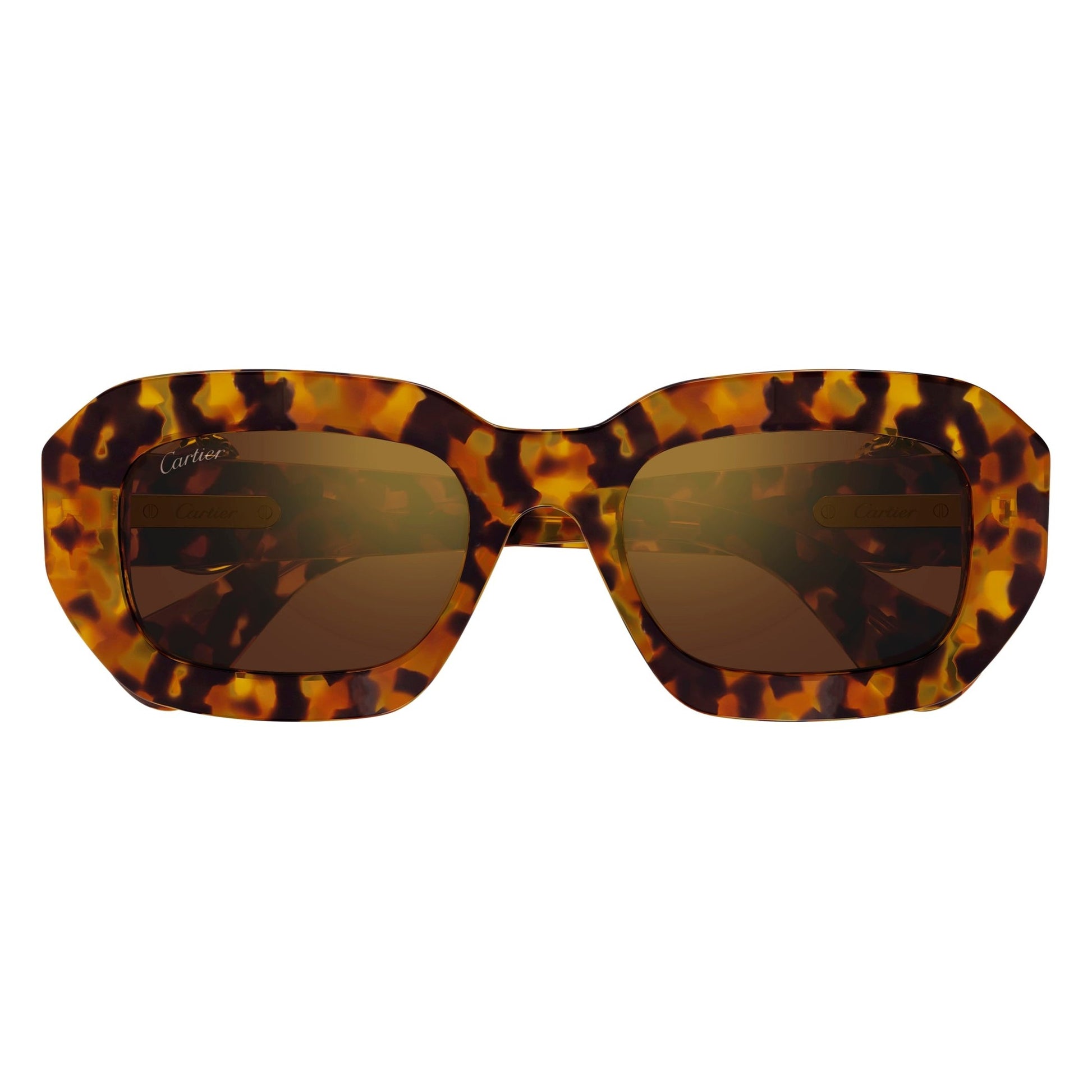 CT0546S-005 52 Sunglass WOMAN RECYCLED A