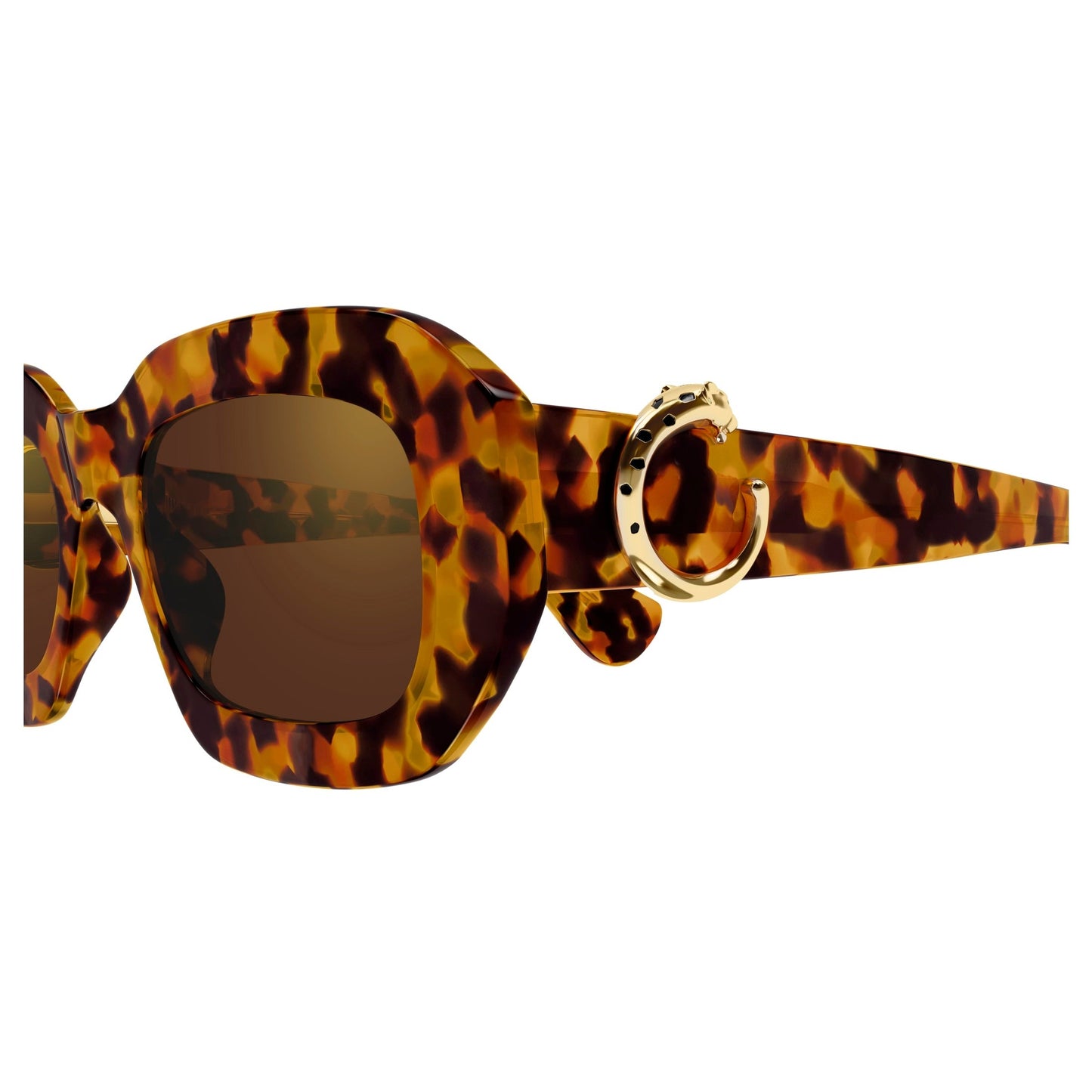 CT0546S-005 52 Sunglass WOMAN RECYCLED A