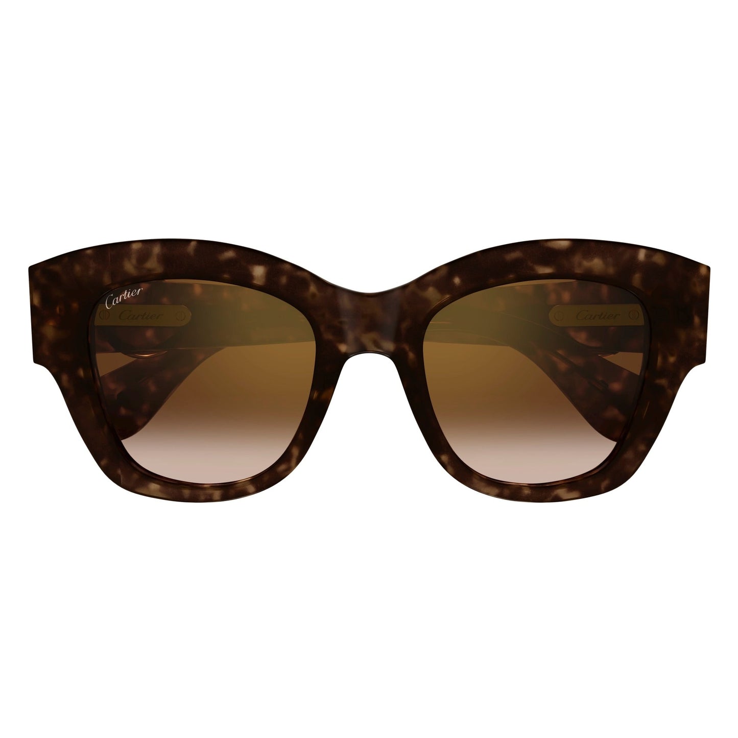 CT0547S-002 52 Sunglass WOMAN RECYCLED A
