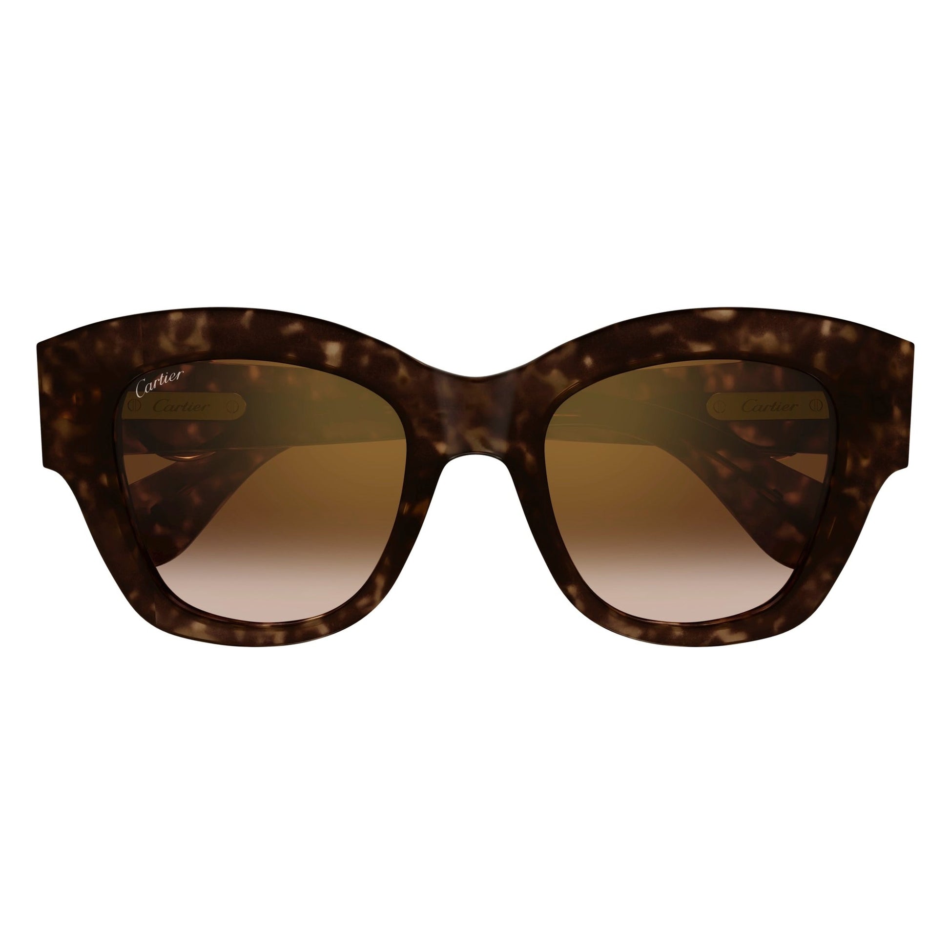 CT0547S-002 52 Sunglass WOMAN RECYCLED A