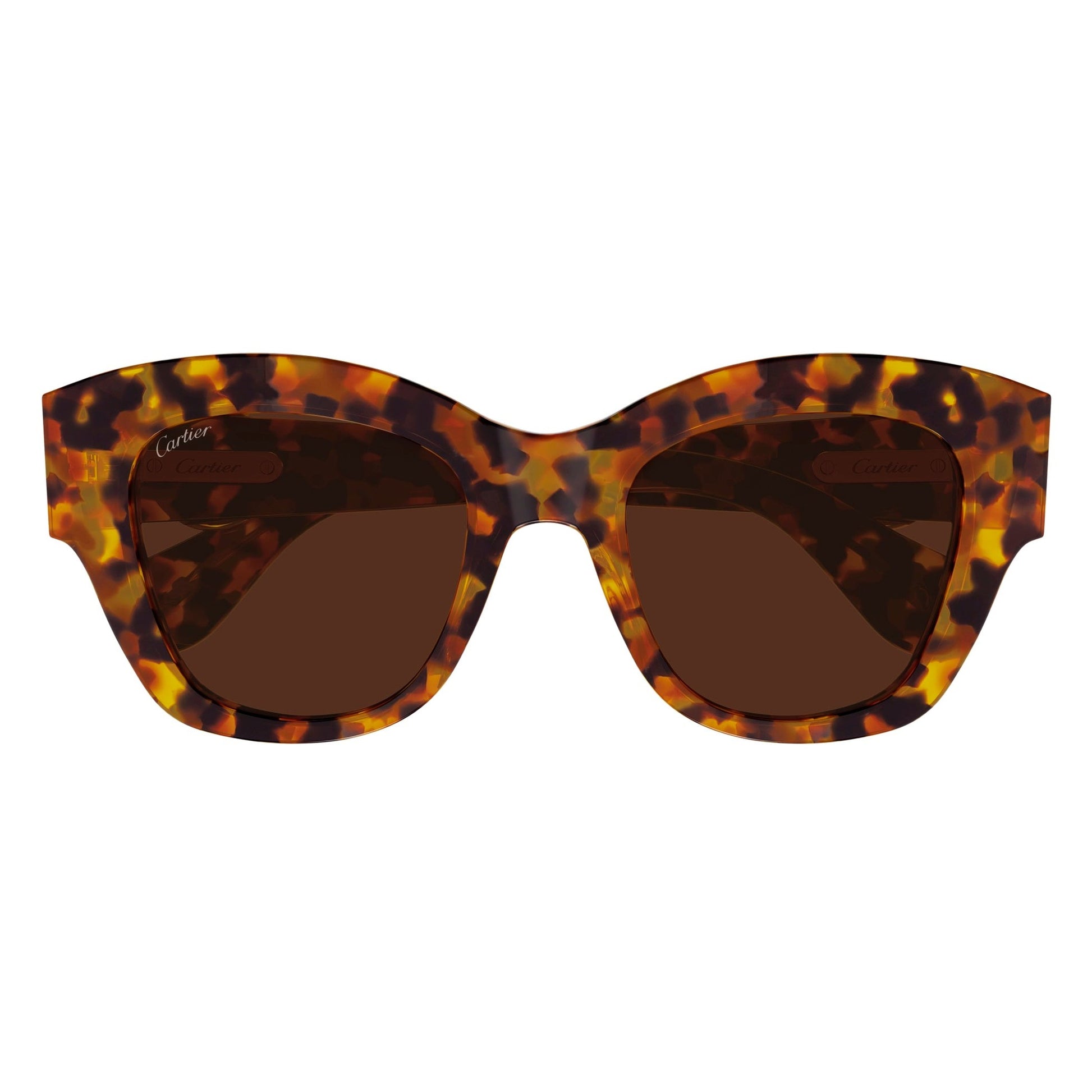 CT0547S-005 52 Sunglass WOMAN RECYCLED A
