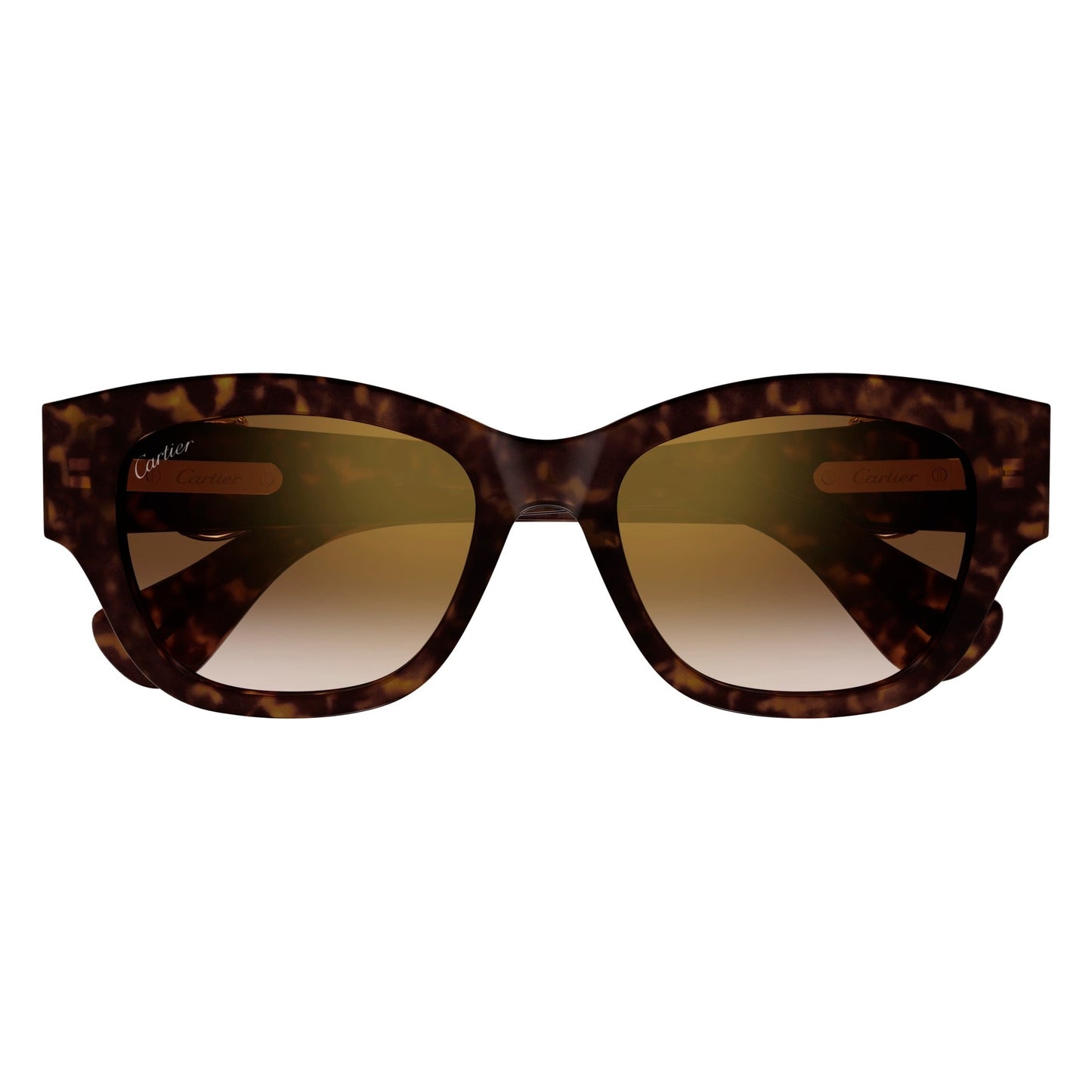 CT0548SA-002 55 Sunglass WOMAN RECYCLED