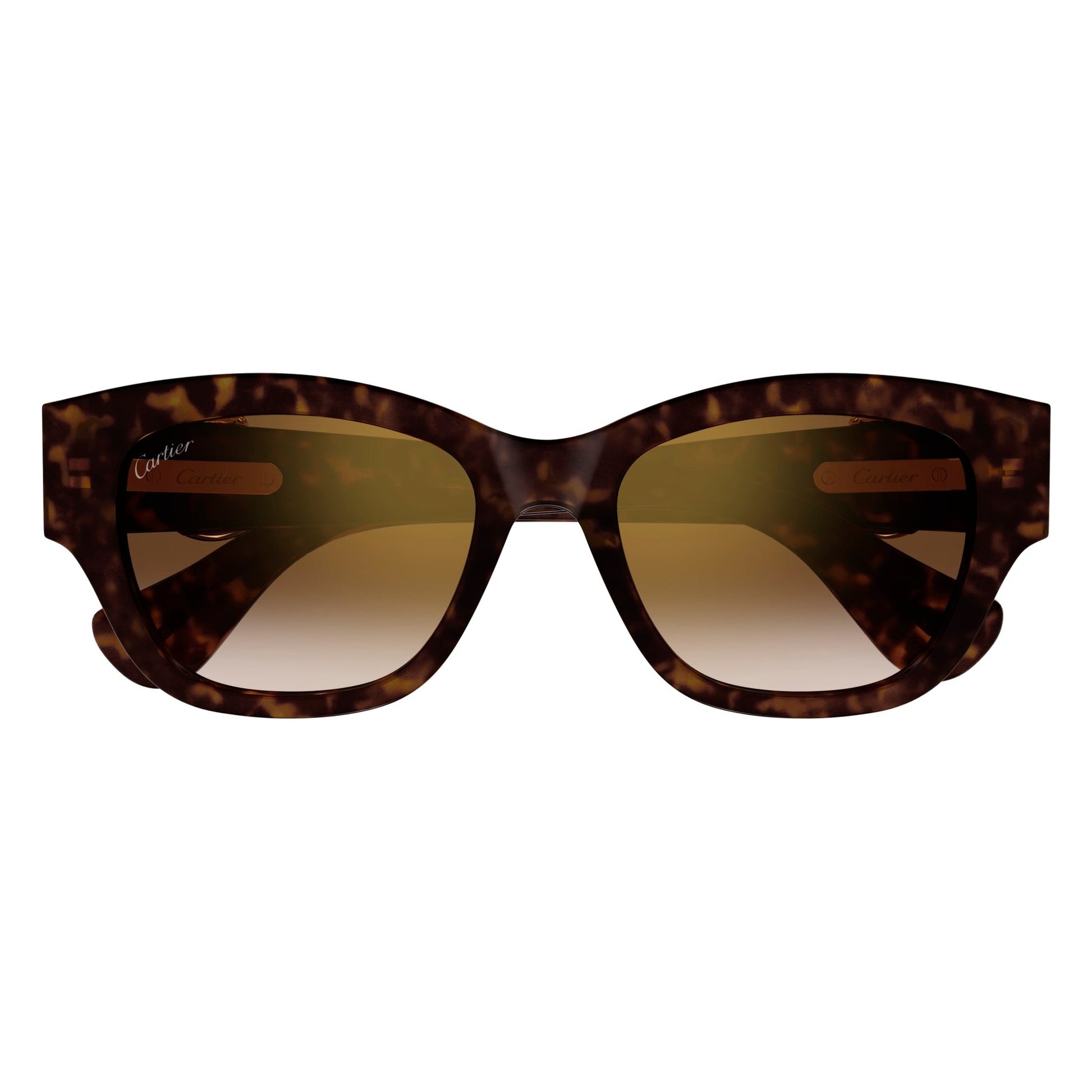 CT0548SA-002 55 Sunglass WOMAN RECYCLED