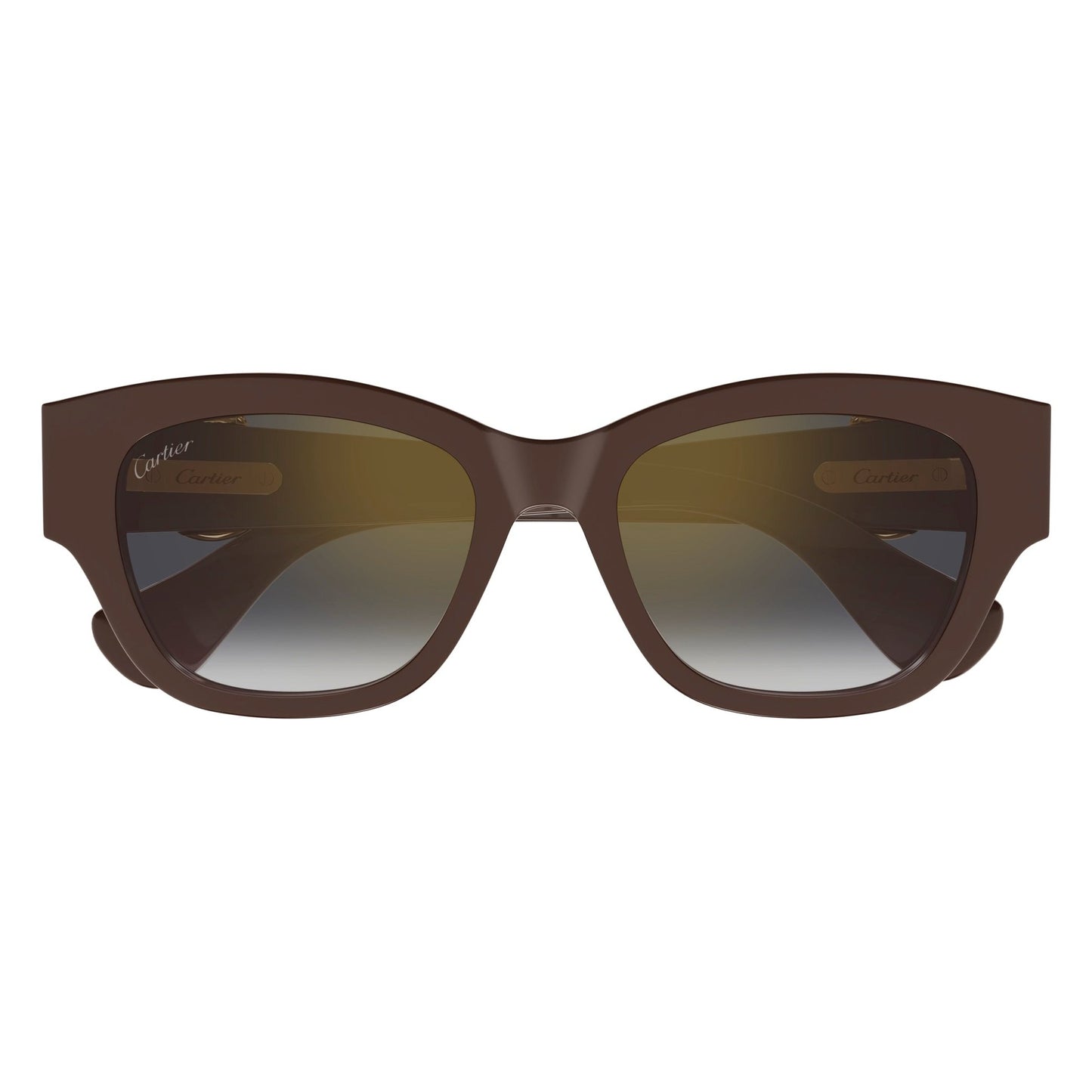 CT0548SA-003 55 Sunglass WOMAN RECYCLED