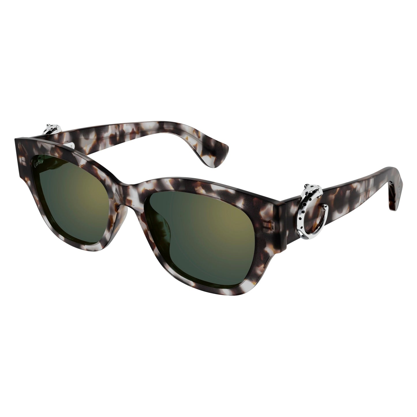 CT0548SA-004 55 Sunglass WOMAN RECYCLED