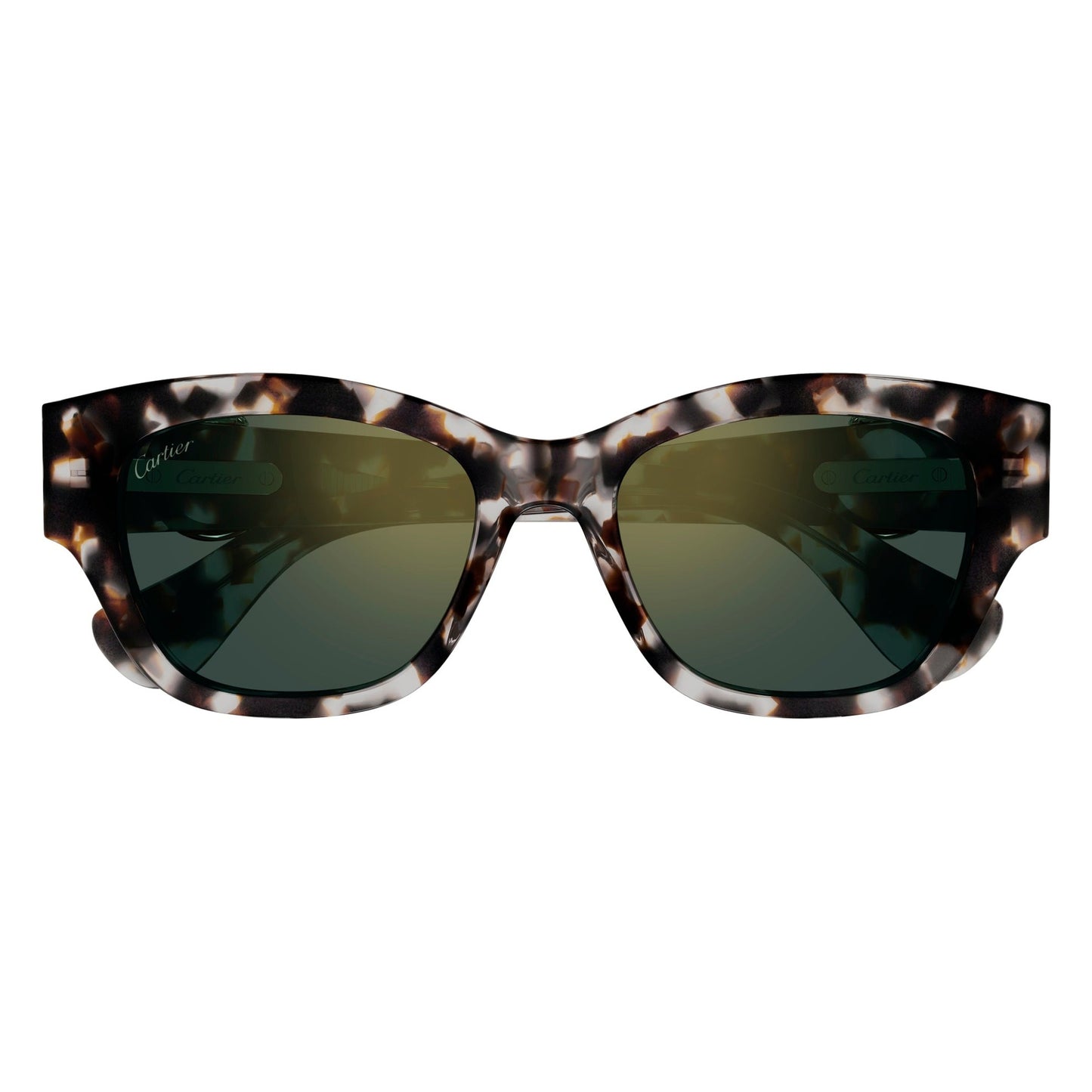 CT0548SA-004 55 Sunglass WOMAN RECYCLED