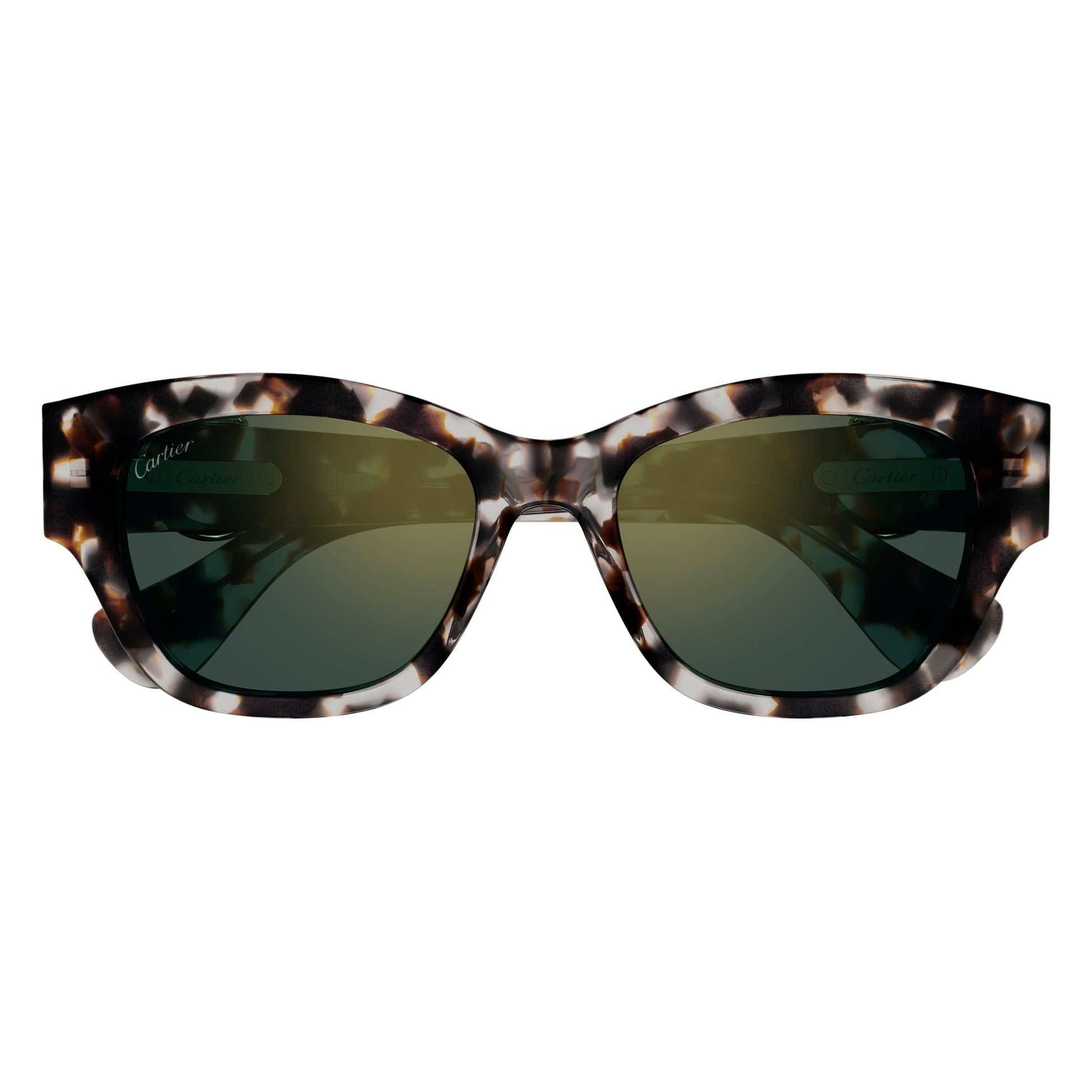 CT0548SA-004 55 Sunglass WOMAN RECYCLED