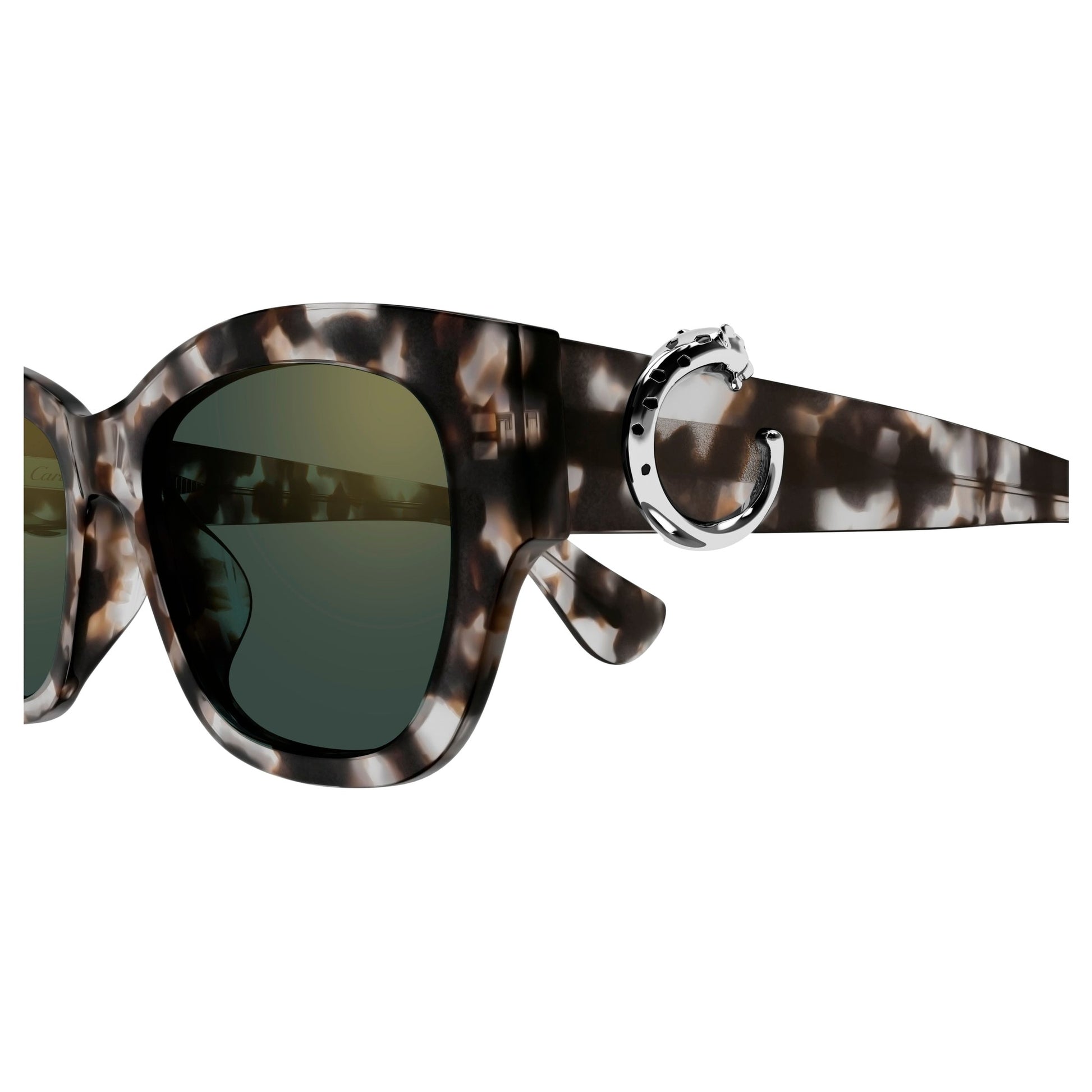 CT0548SA-004 55 Sunglass WOMAN RECYCLED