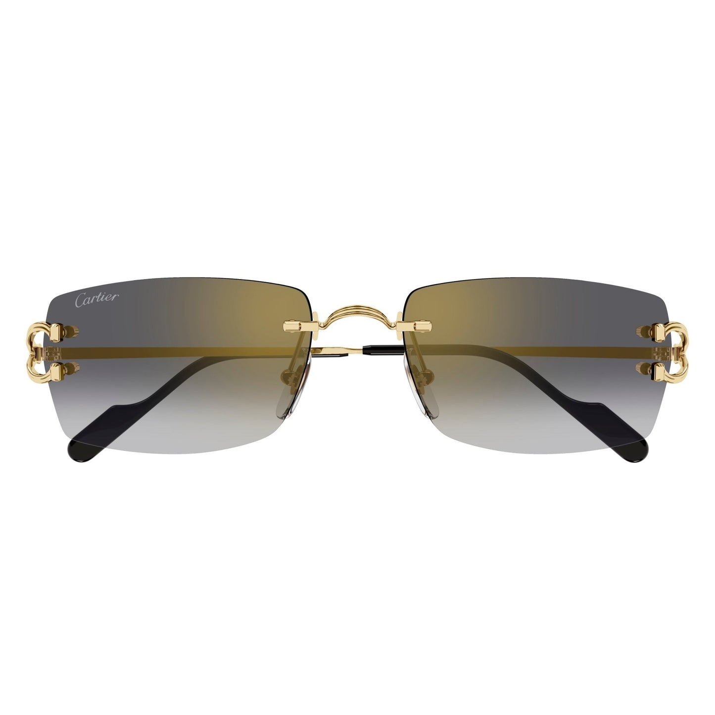 CT0550S-001 56 Sunglass MAN METAL