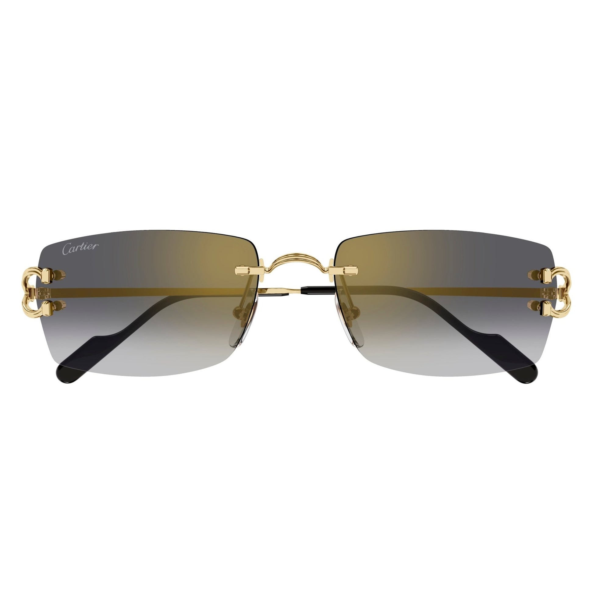 CT0550S-001 56 Sunglass MAN METAL