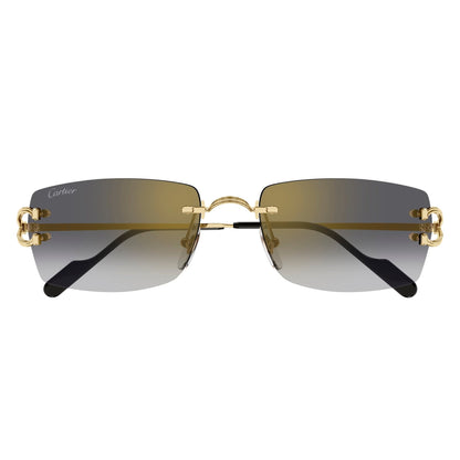 CT0550S-001 56 Sunglass MAN METAL