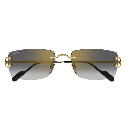 CT0550S-001 56 Sunglass MAN METAL