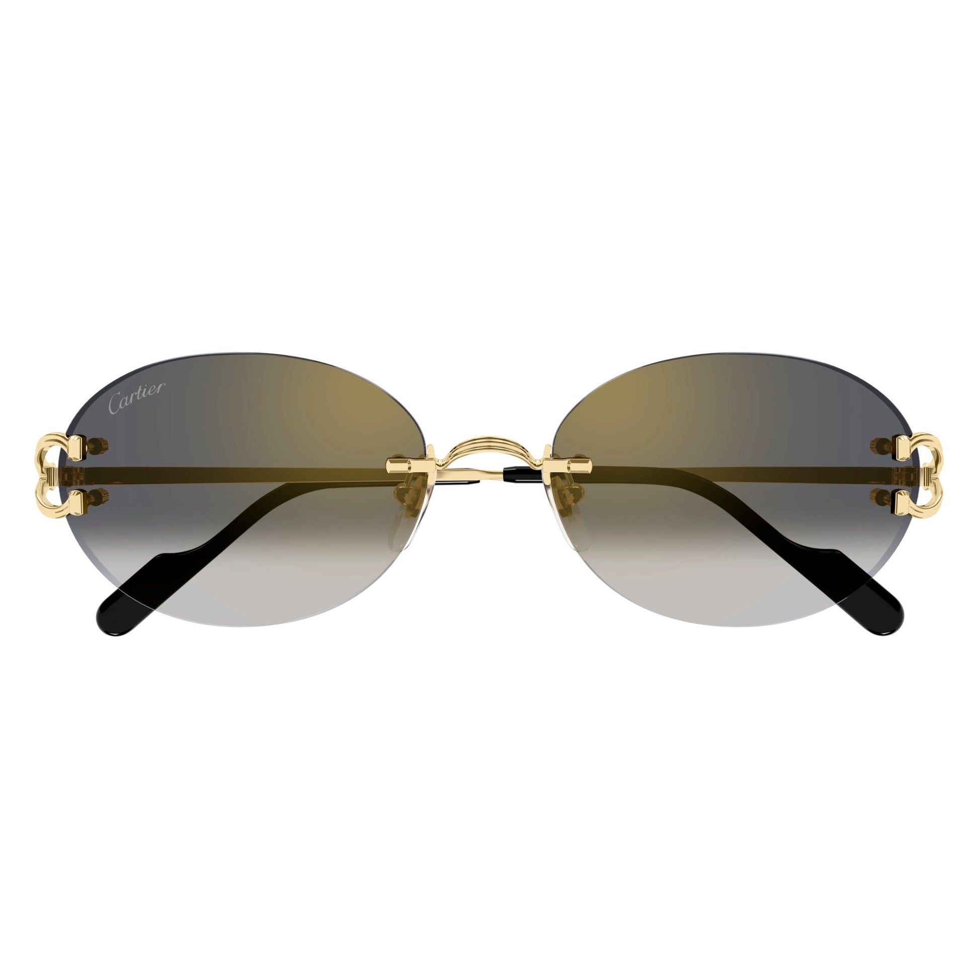 CT0551S-001 55 Sunglass UNISEX METAL