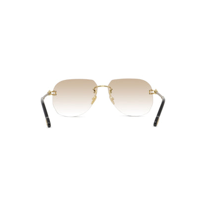 FRED FG40011U Sunglasses 30f