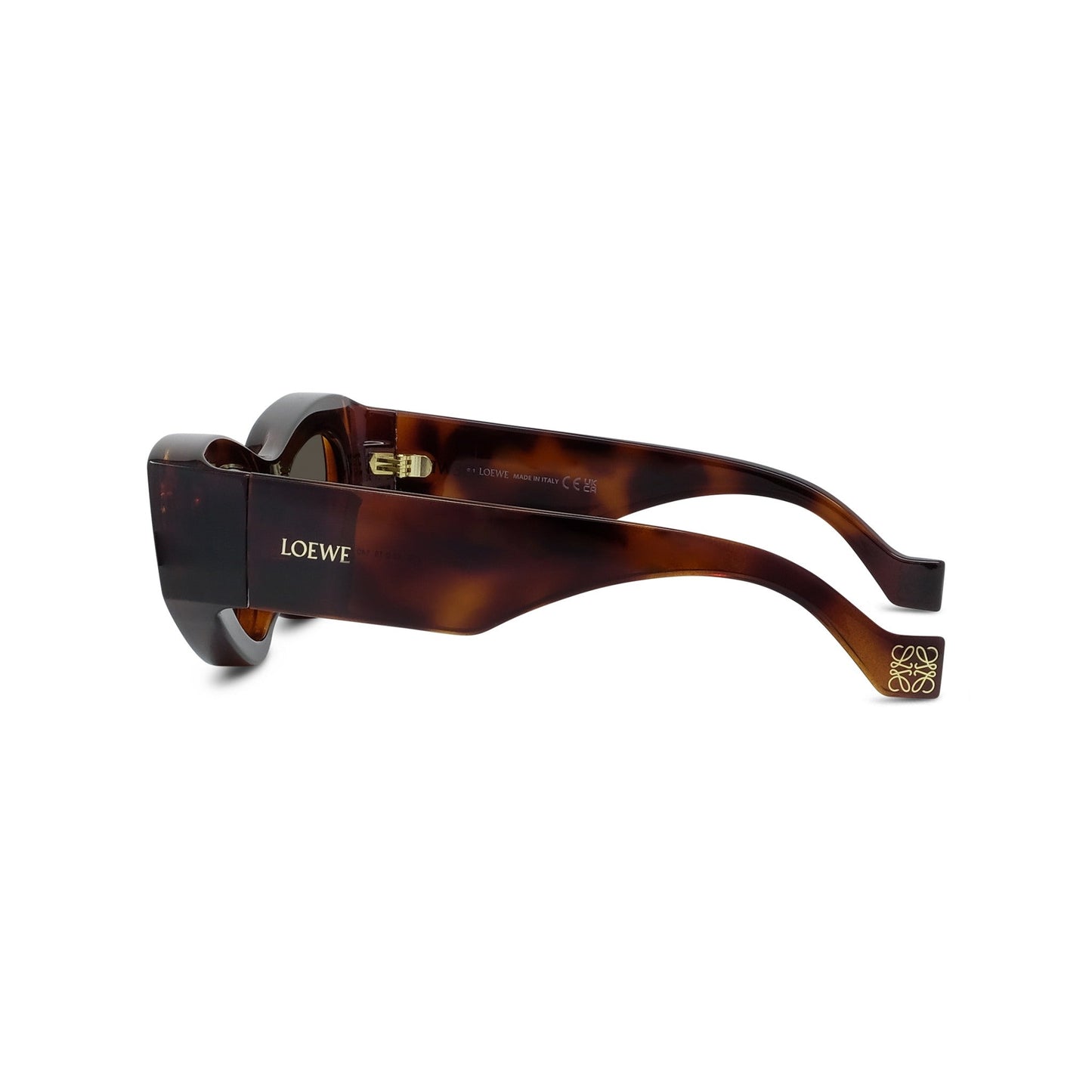 LOEWE LW40171U Sunglasses