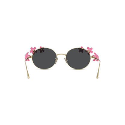 LOEWE LW40173U Sunglasses