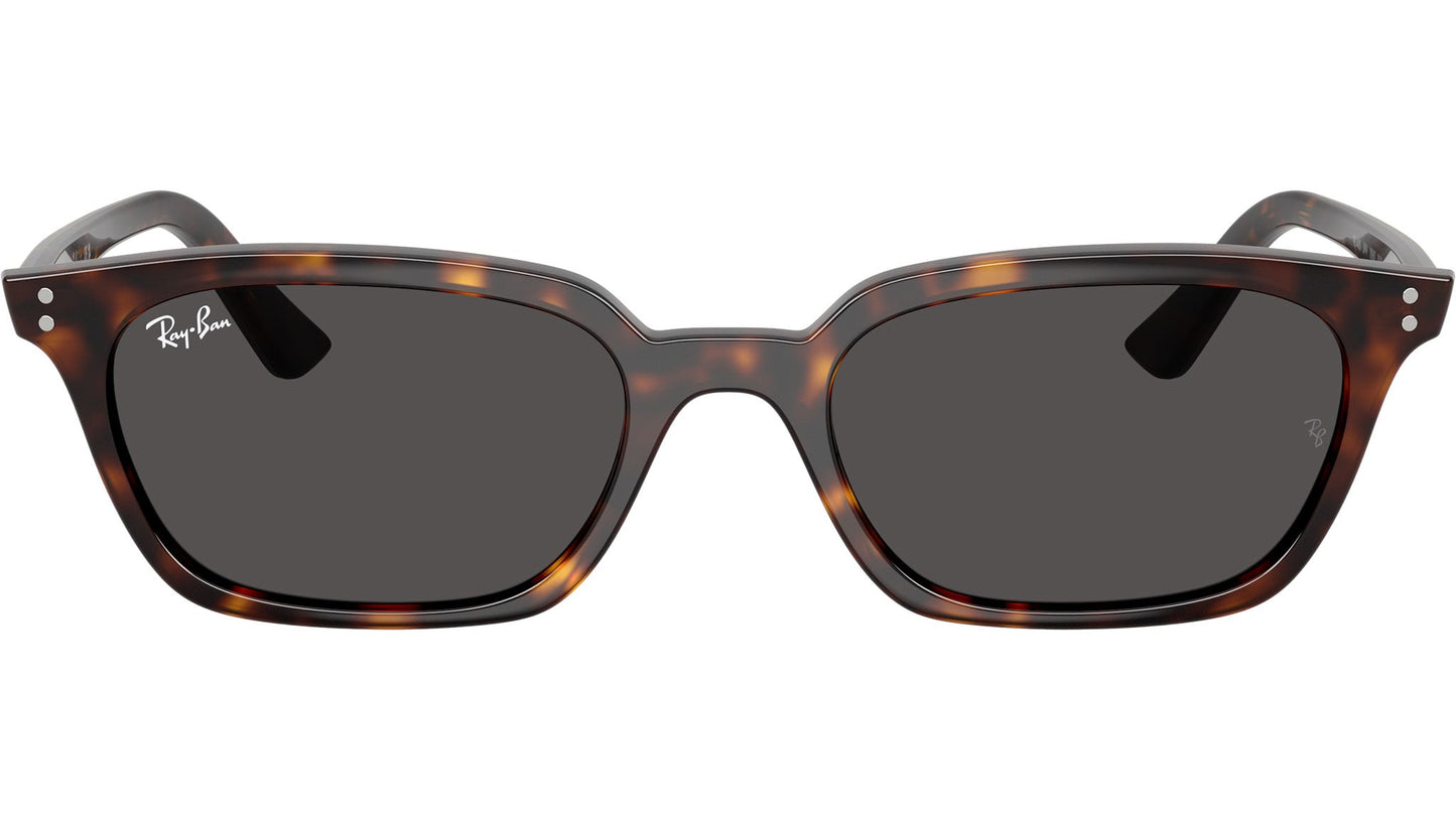 Ray-Ban RB4456 135987