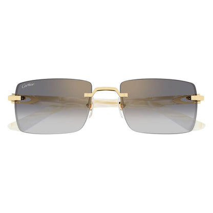 CT0579S 003 laterale