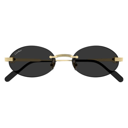 Cartier CT0615S | Occhiali da sole