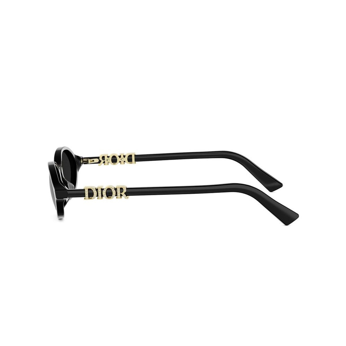 DIORTREASURE R1I 10a0 laterale