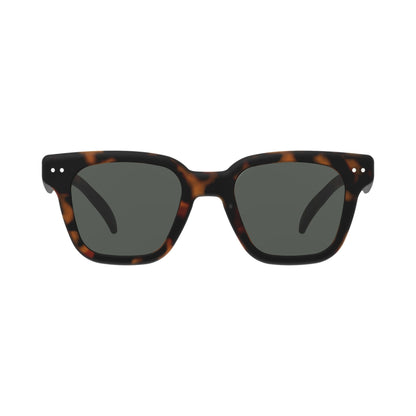 Izipizi SUN ROAD Tortoise c02 tortoise