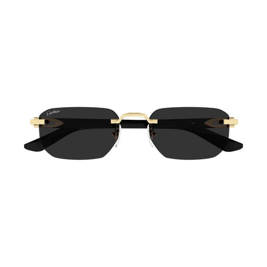 Cartier CT0622S | Occhiali da sole unisex