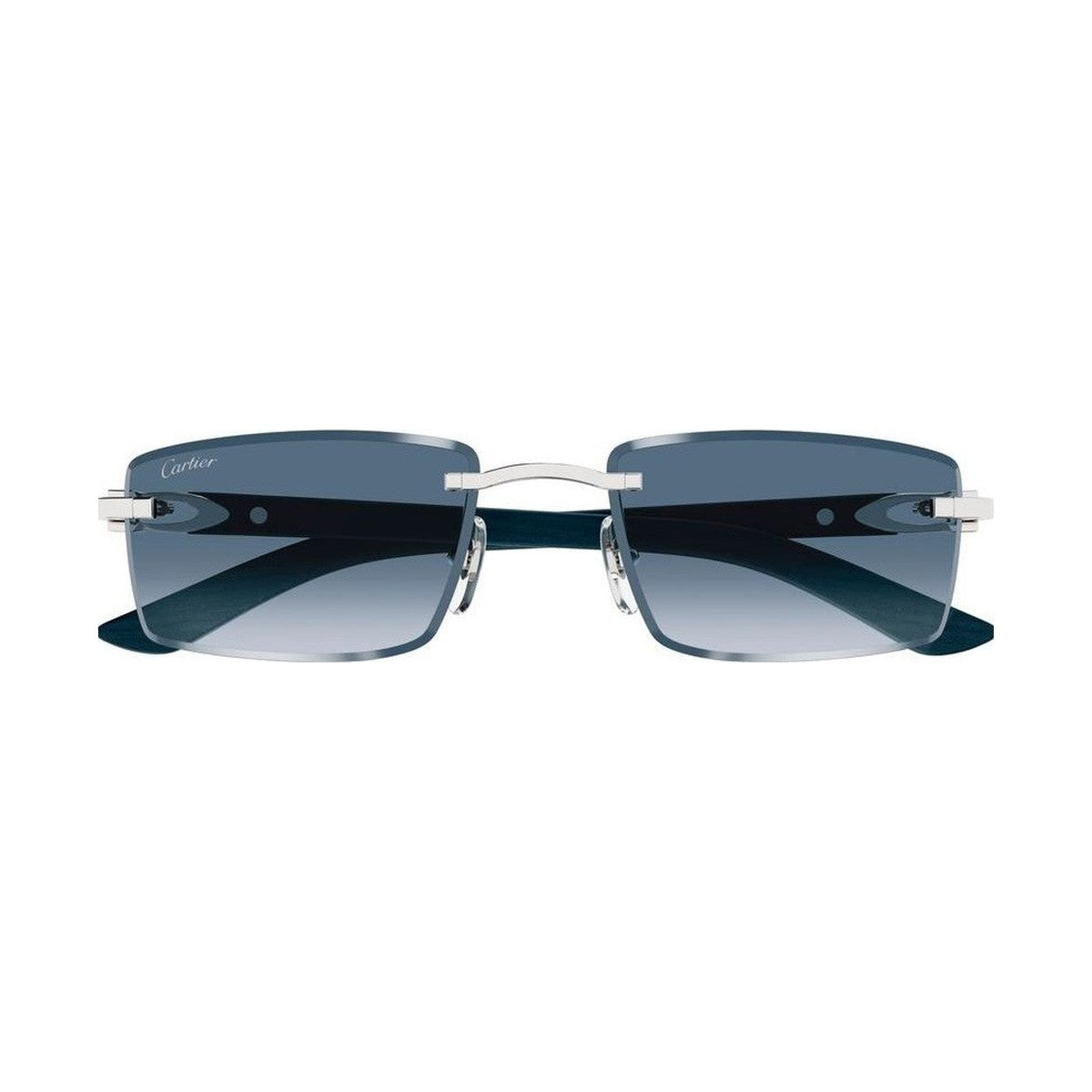 Cartier CT0582S | Occhiali da sole unisex
