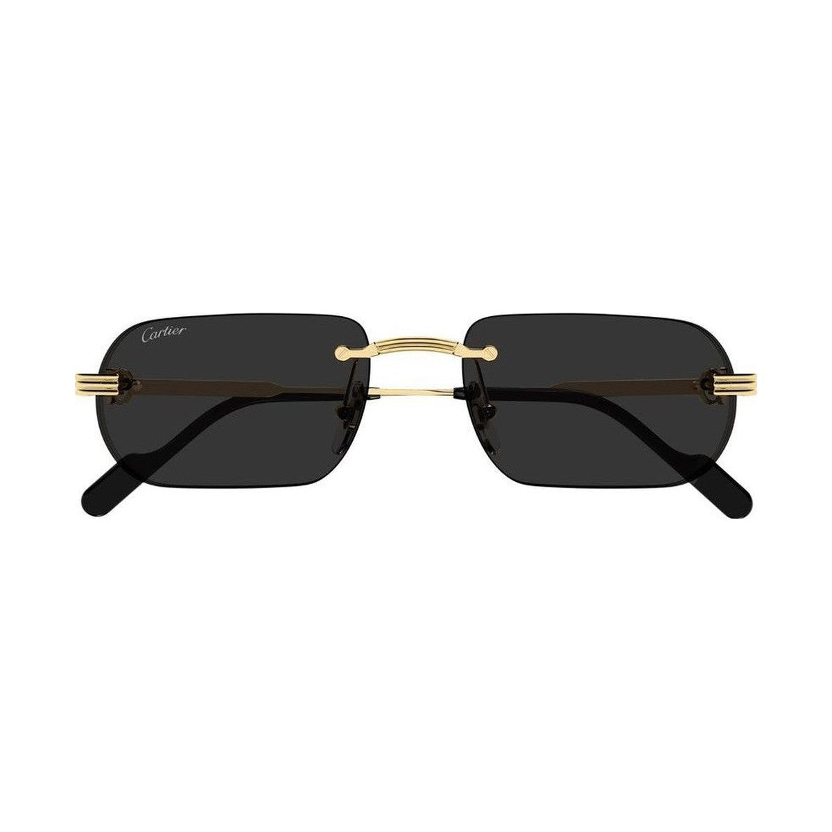 Cartier CT0577S | Occhiali da sole unisex