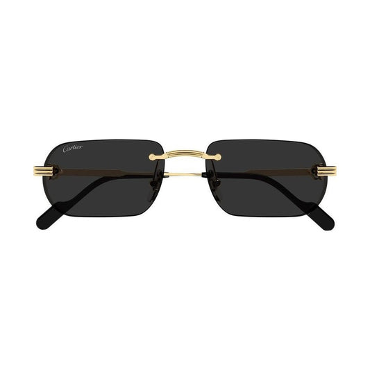 Cartier CT0577S | Occhiali da sole unisex