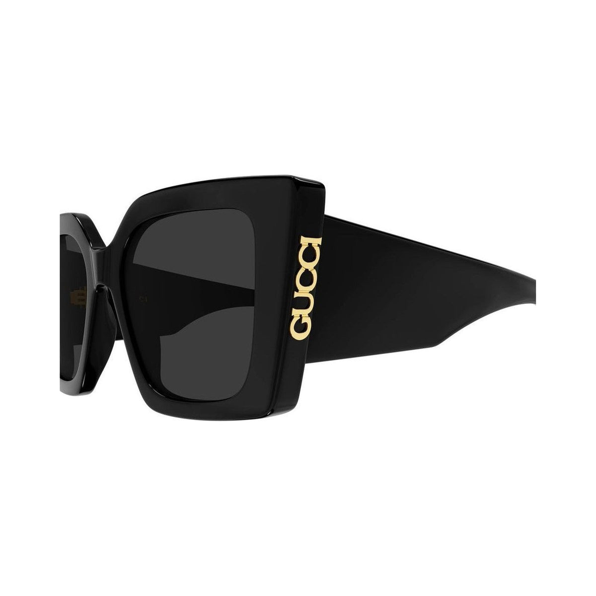 GG2039S 001 laterale
