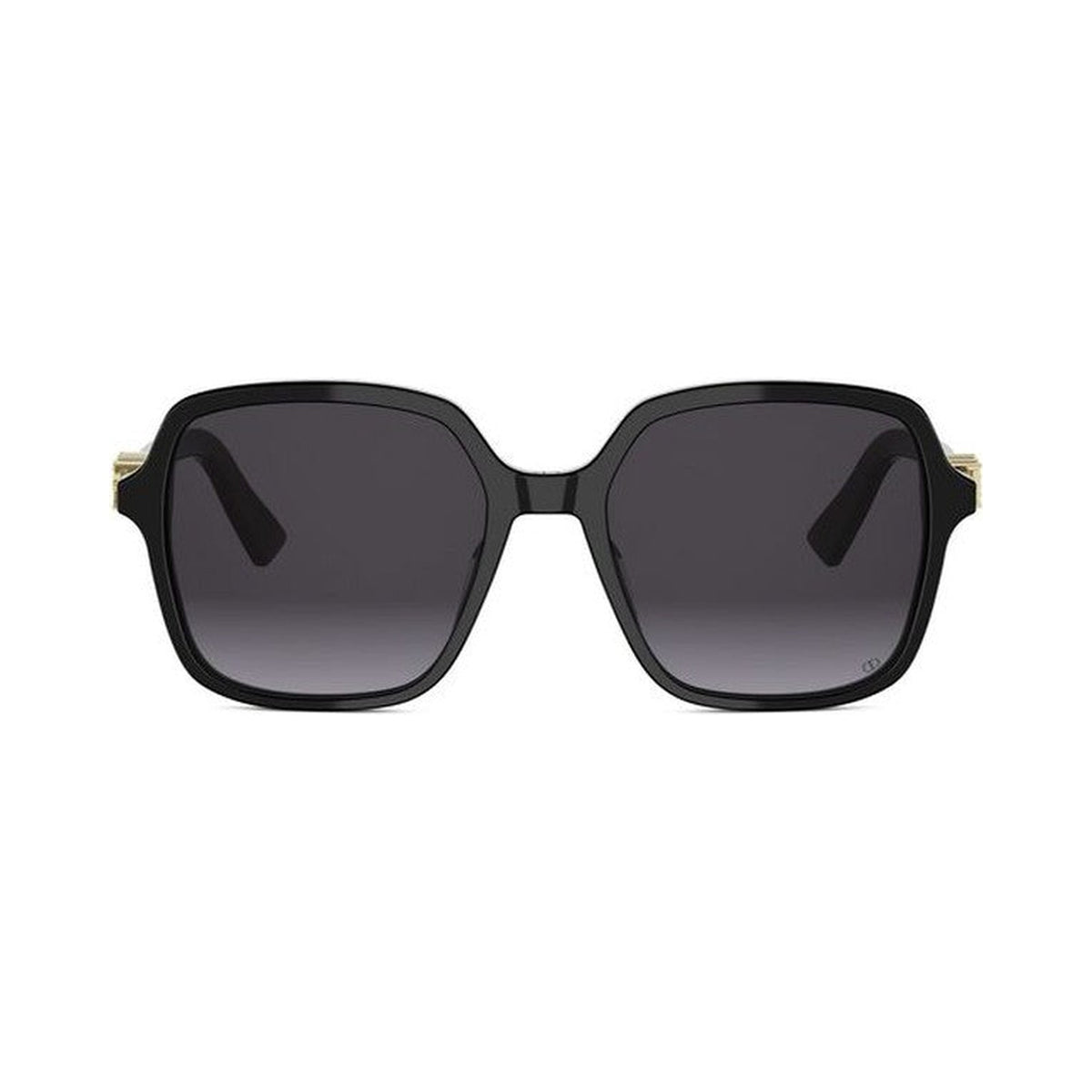 DIORTREASURE S1I 10a1