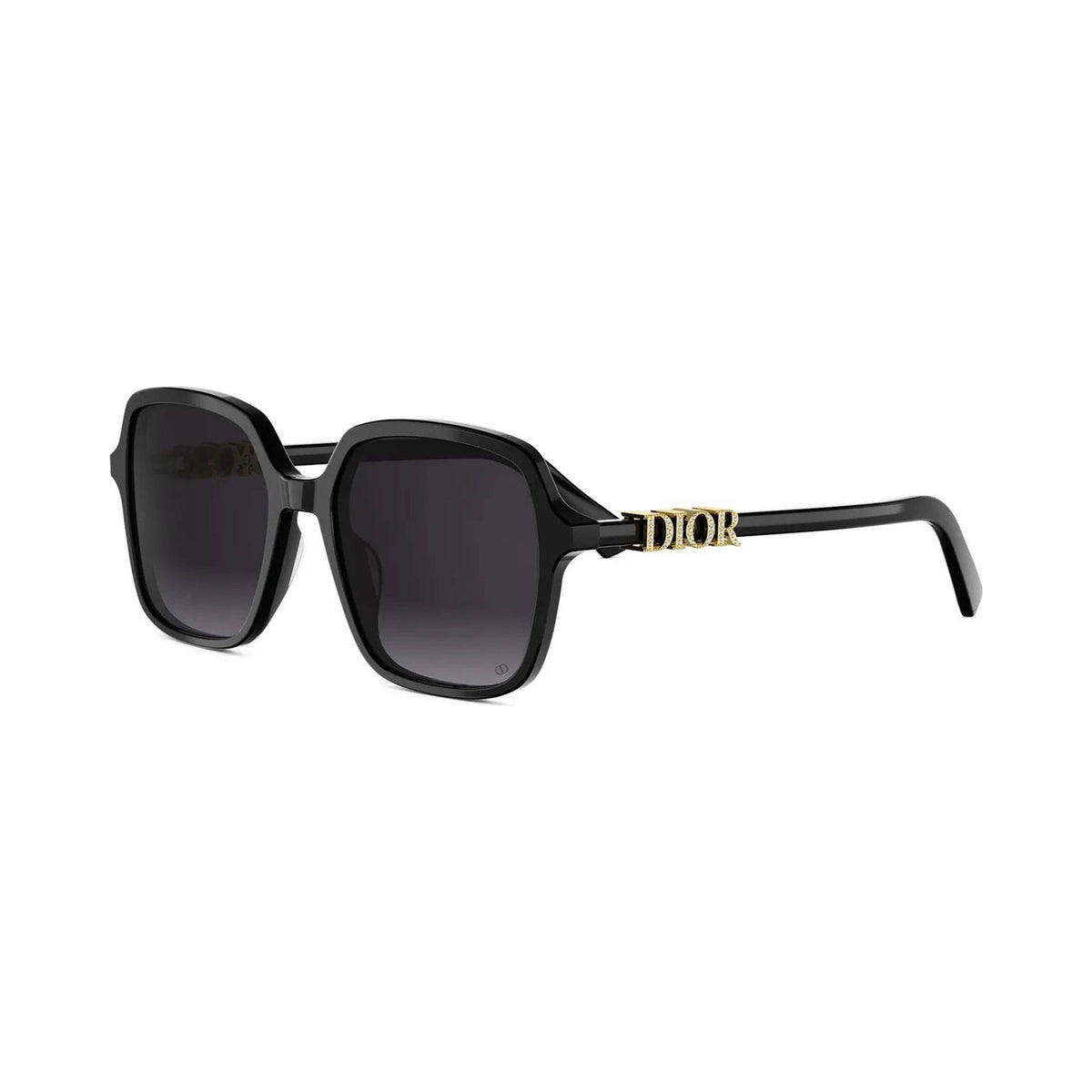 Dior DIORTREASURE S1I 01B vista 2