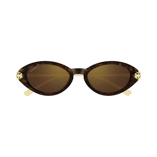 CT0634S 002 laterale